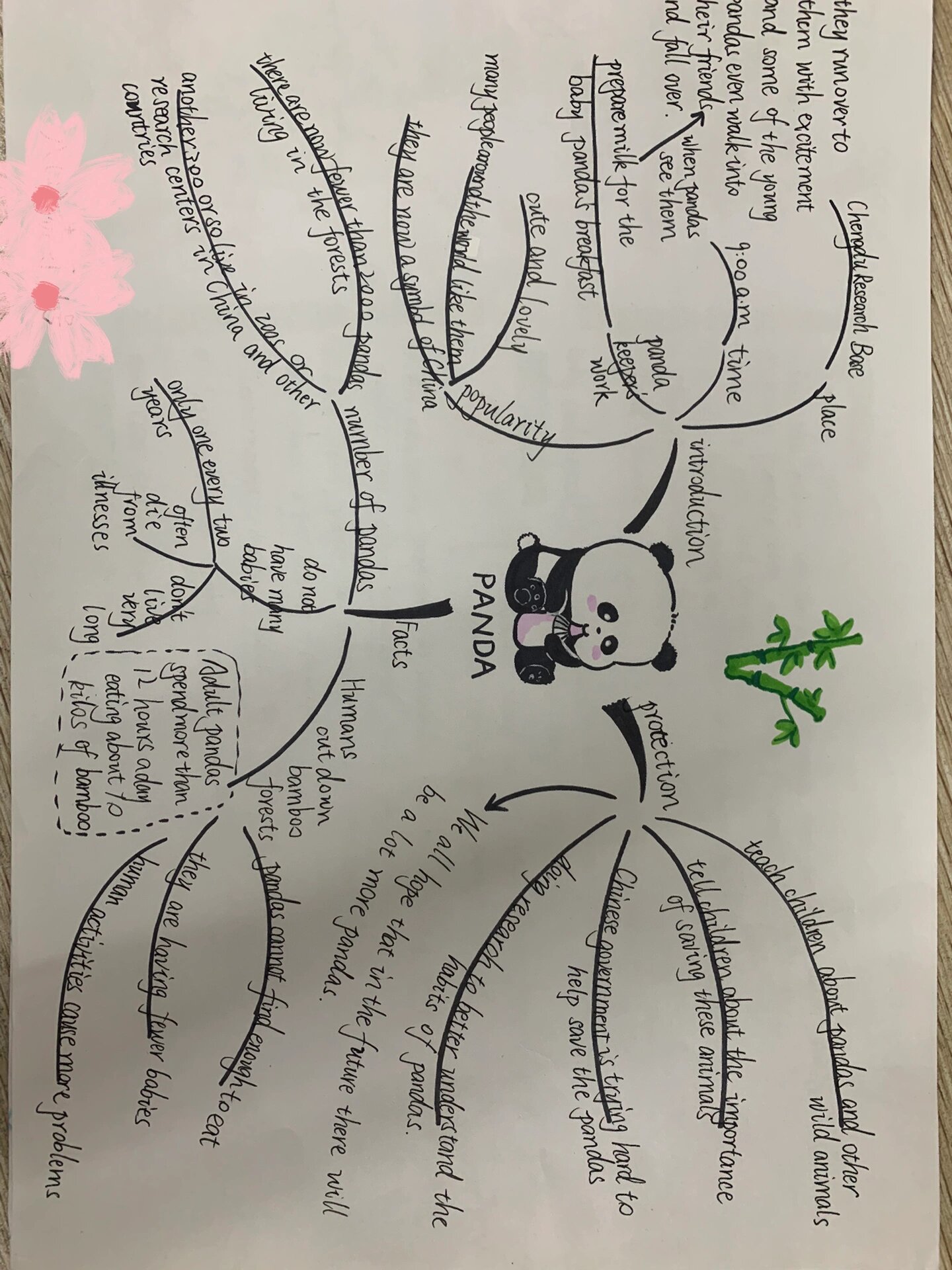 人教版新目标八年级下unit 7大阅读思维导图