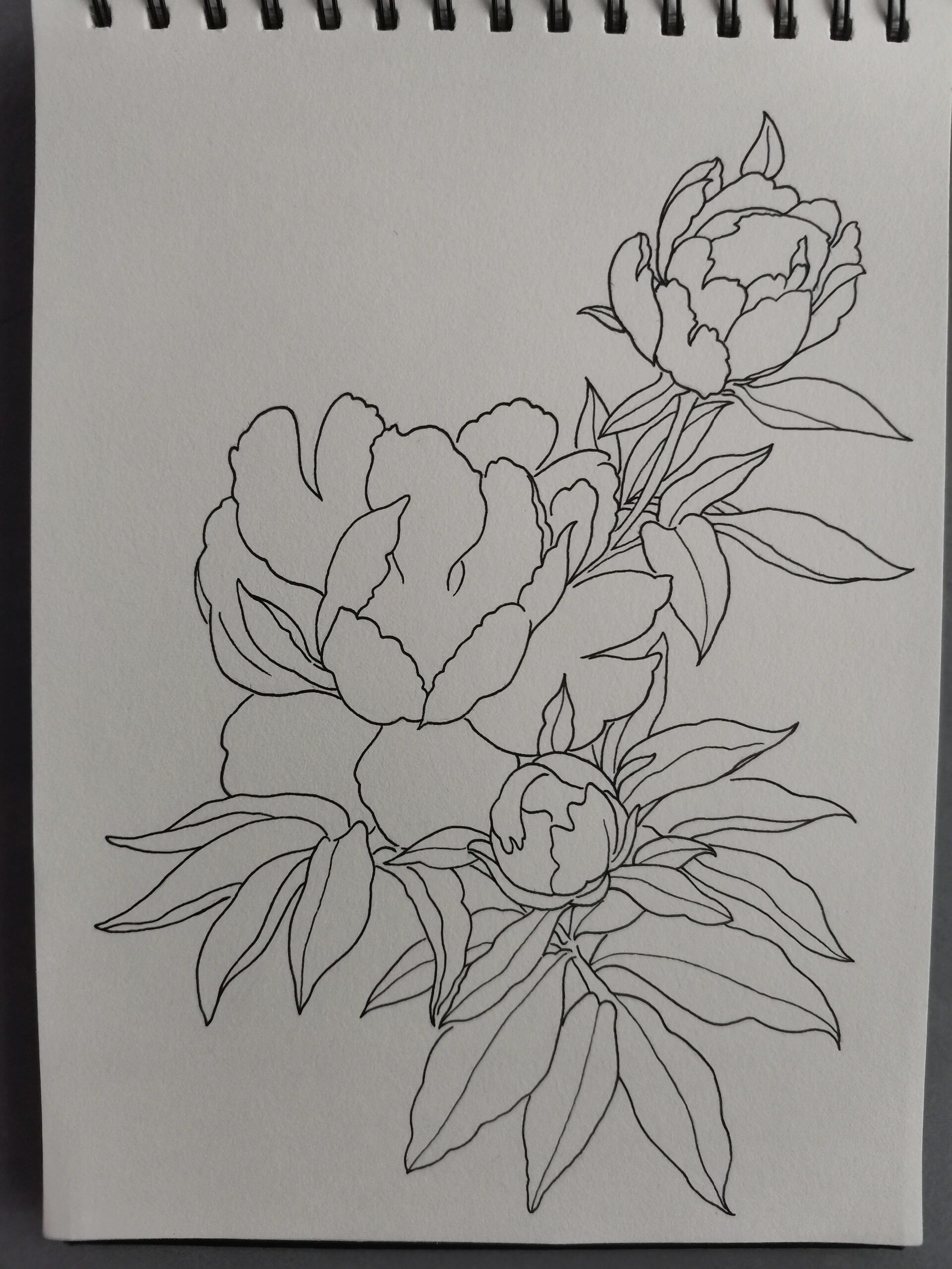 准备好画笔和纸张了吗?快来跟我一起学吧!