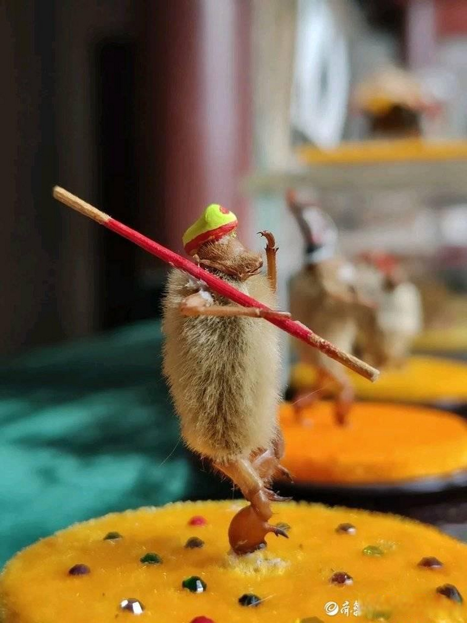 【指尖塑造毛猴"七十二变"!