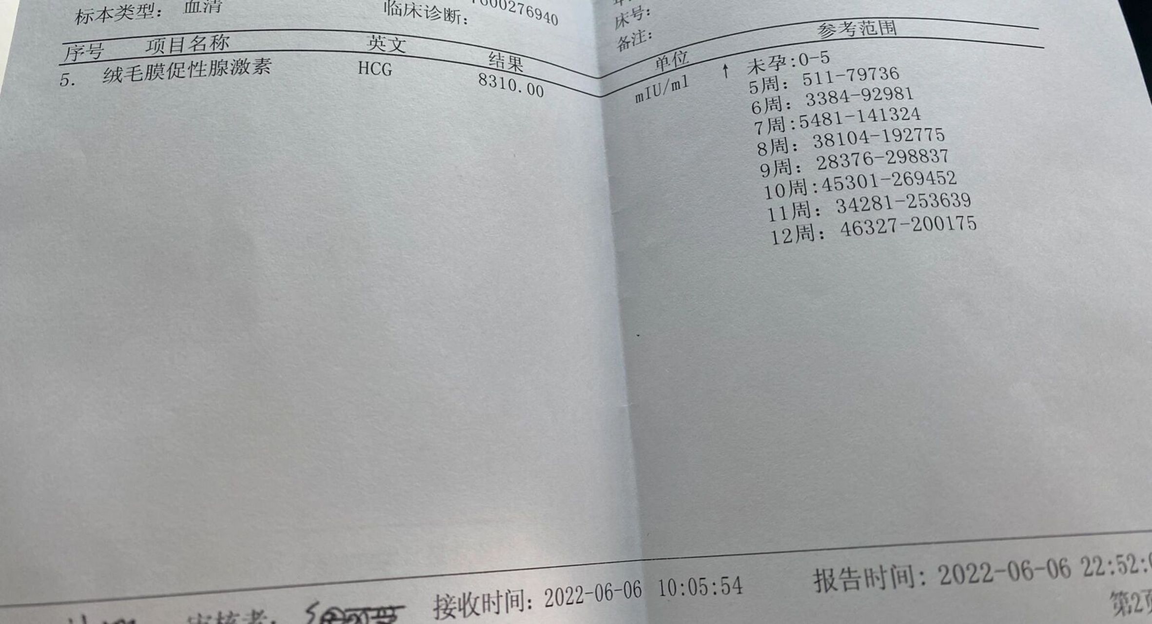 验孕化验单图片