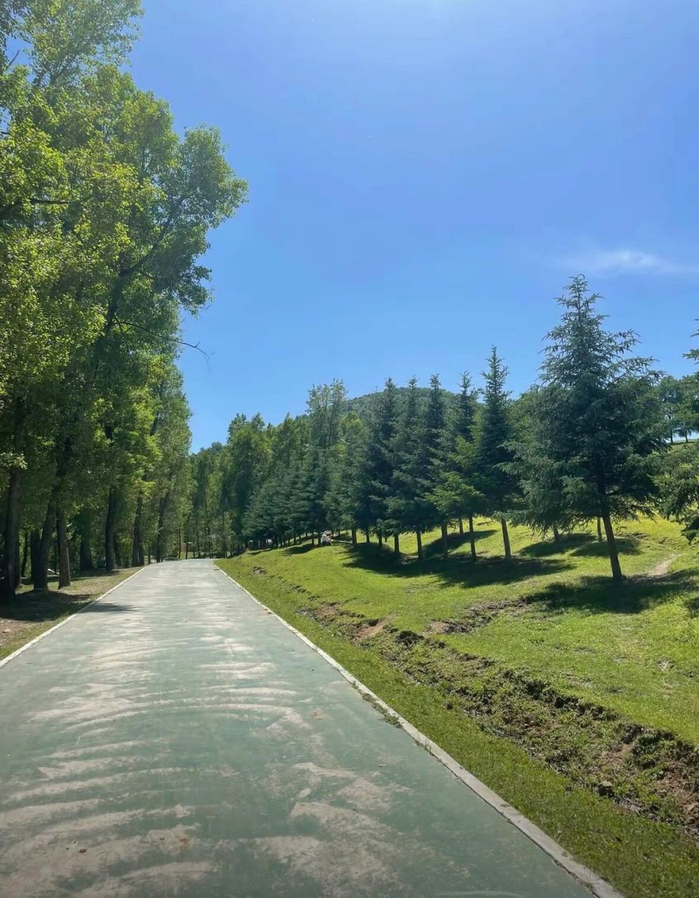 兰州周边一日游|竹子沟💢 🔆抓住夏天的尾巴,呼吸一下竹子沟🎋