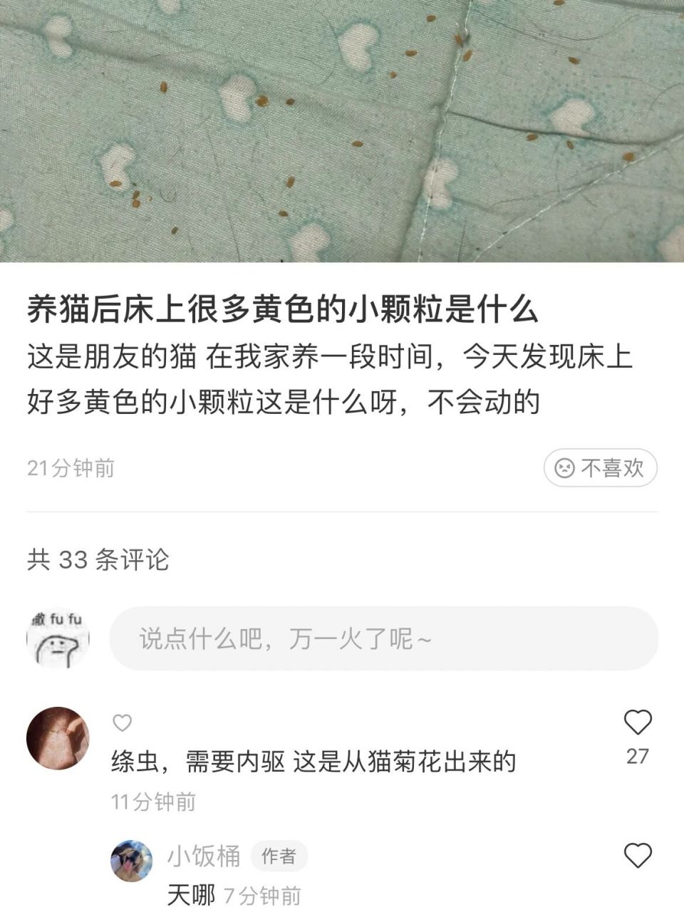 猫绦虫节片图片