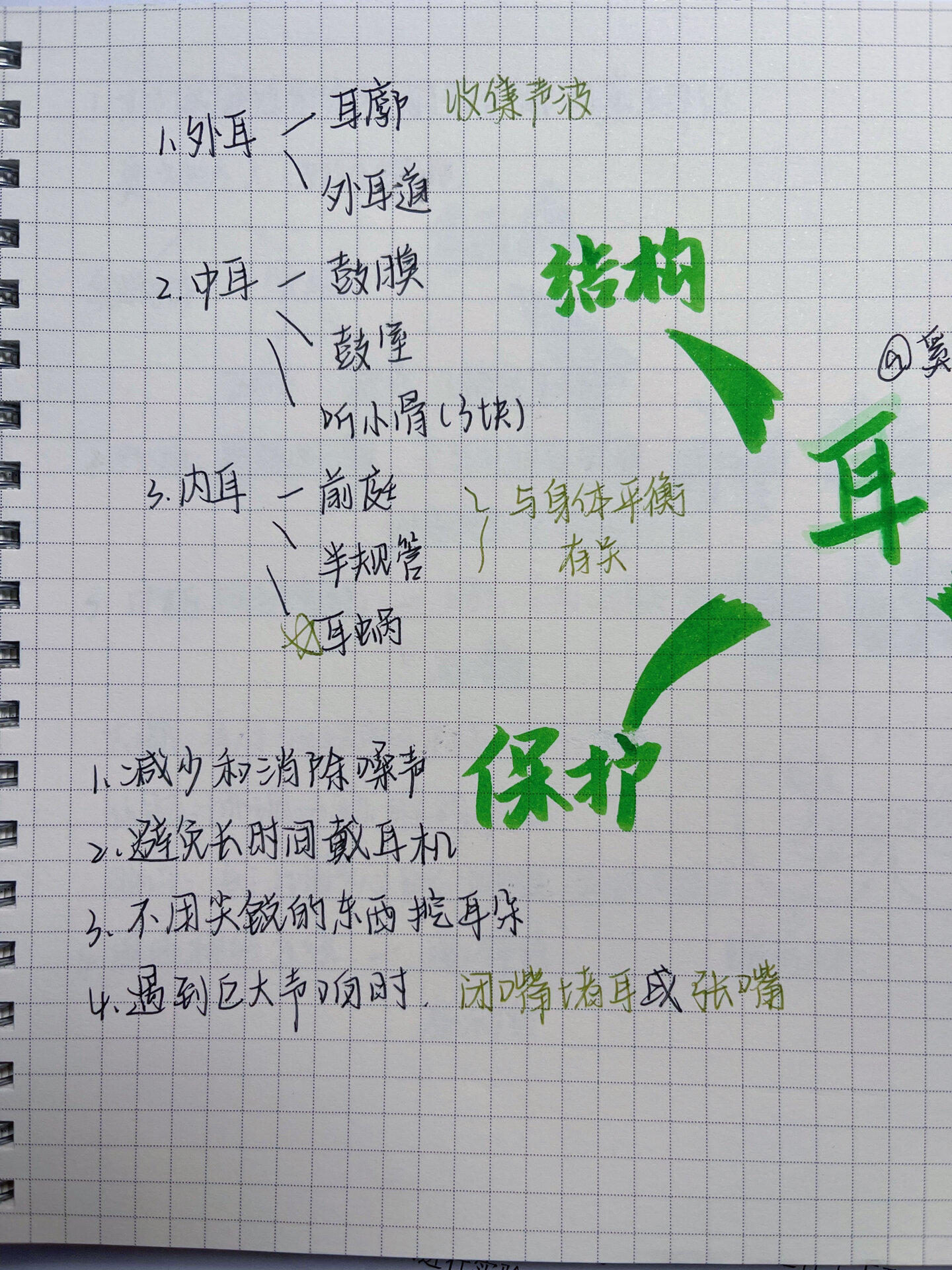 生物思维导图之耳