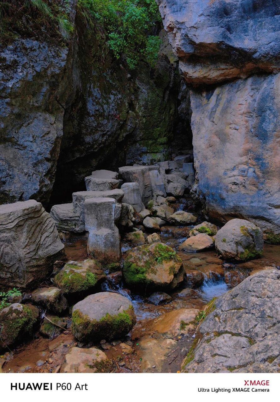 定西-渭河源风景区    渭河源风景区,静谧森林天然氧吧