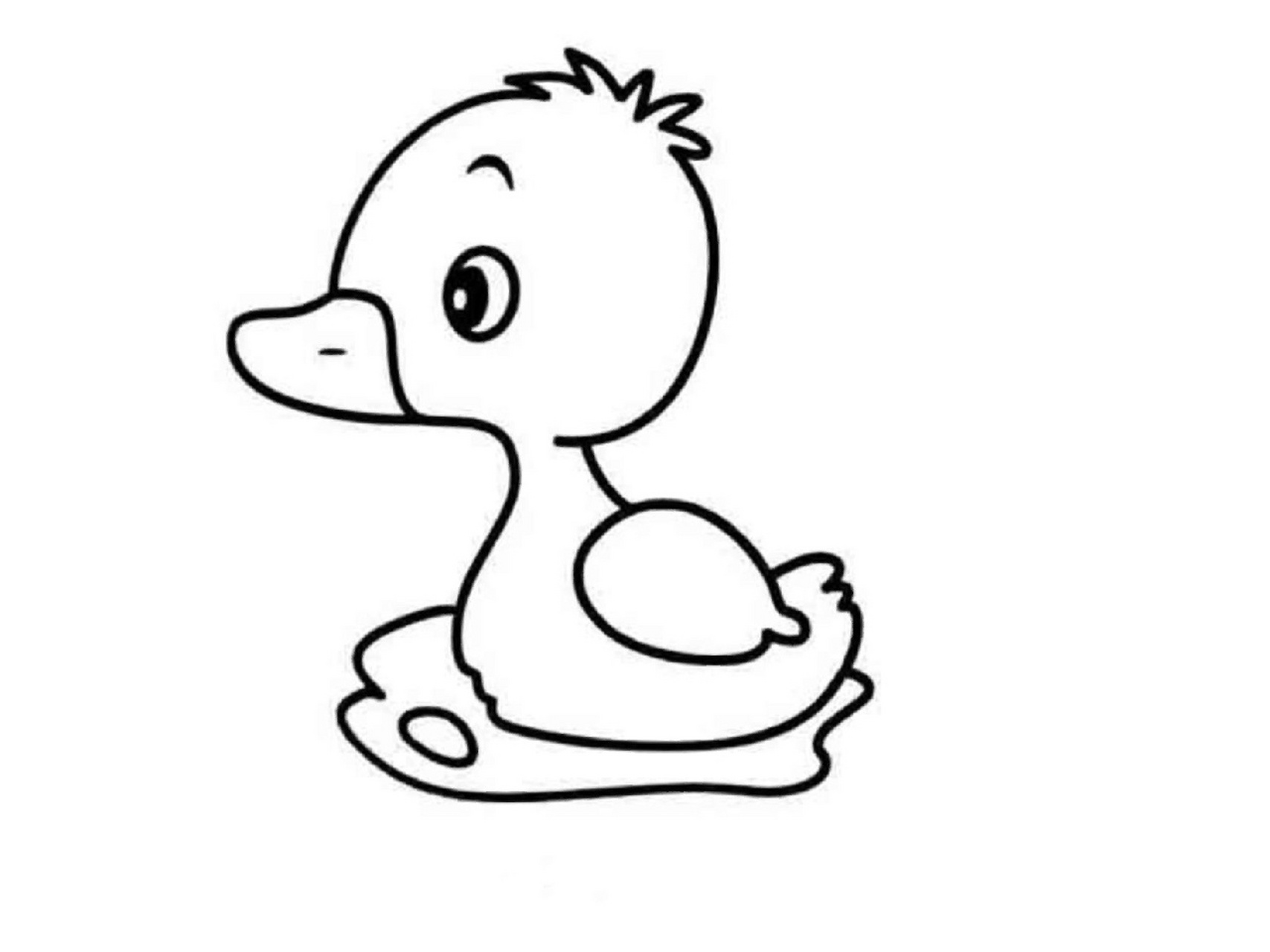 小动物简笔画涂色可打印