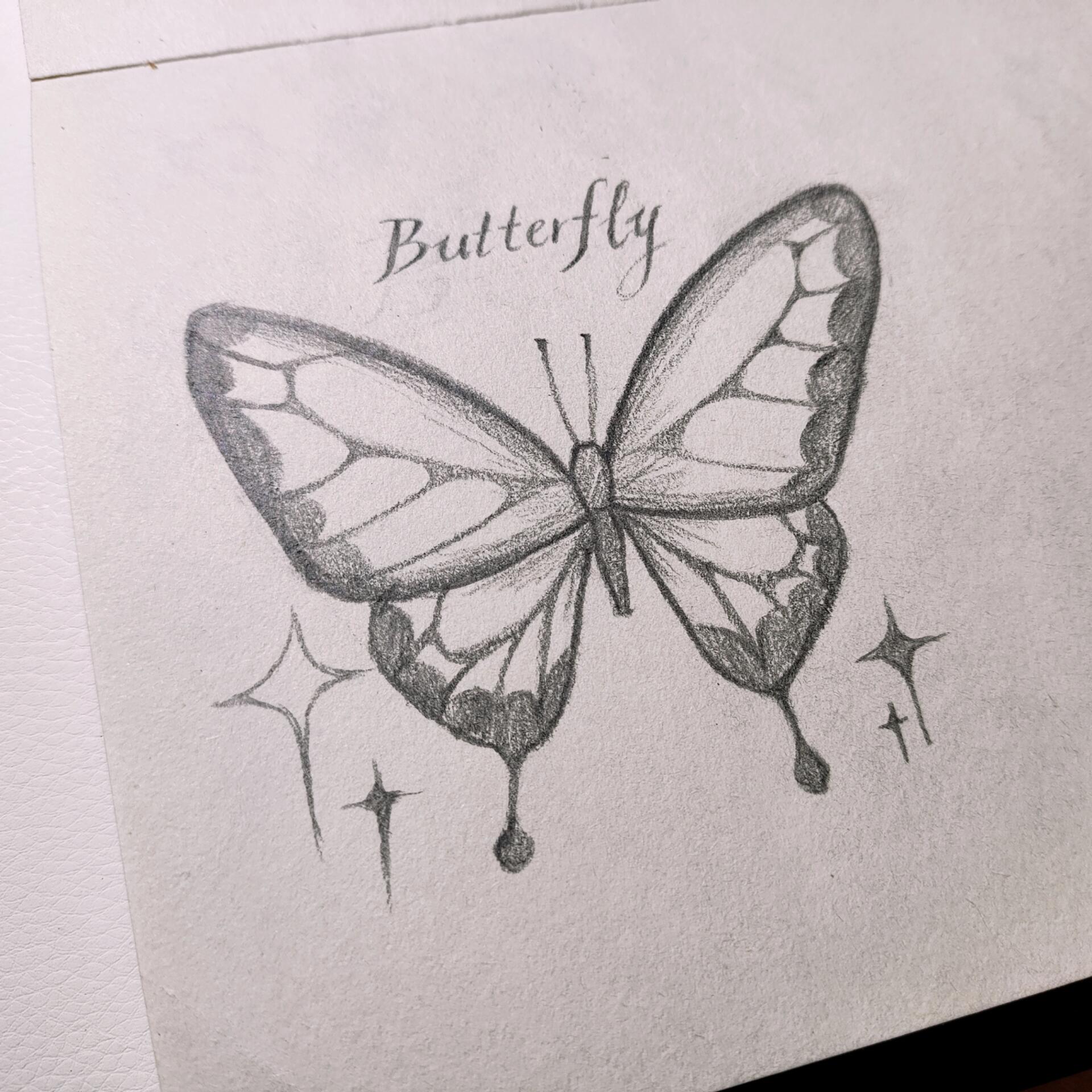 手把手教你系列 画蝴蝶原来这么简单?一起试试吧!