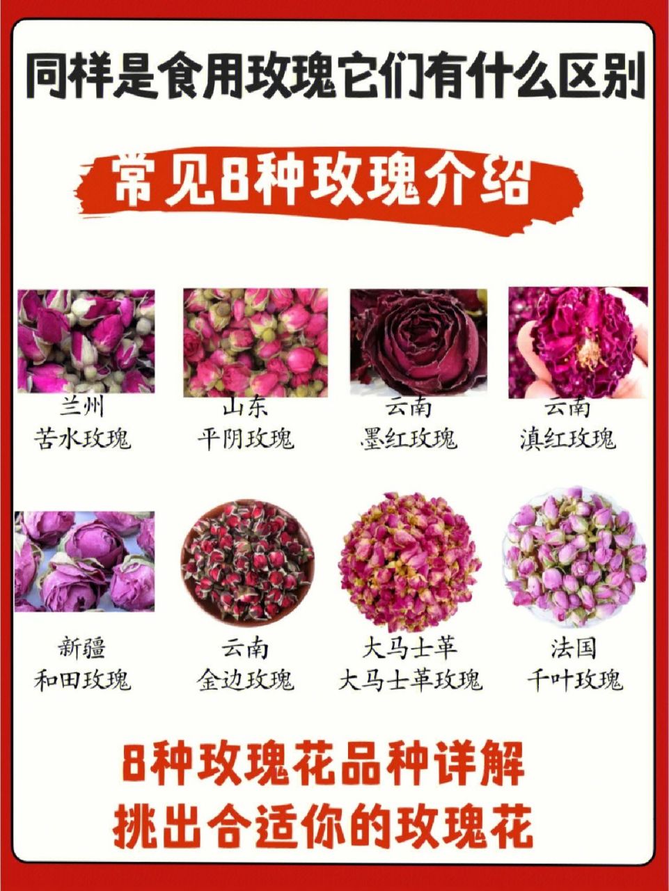 8种玫瑰功效介绍73 同样是食用玫瑰它们有什么区别71 常见8种玫瑰