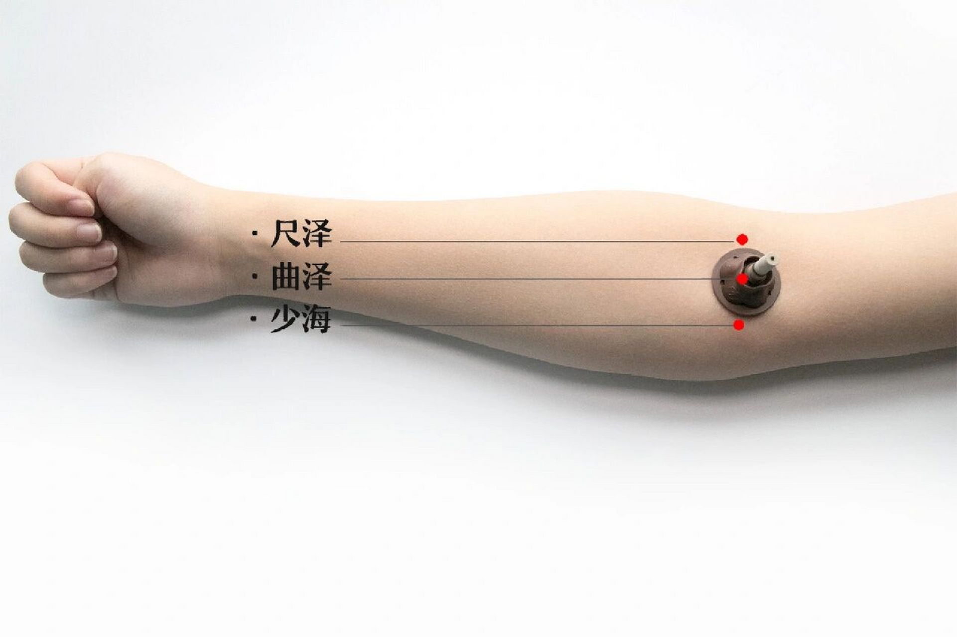 定位:在肘区,肘横纹上,在肱二头肌肌腱桡侧凹陷中.