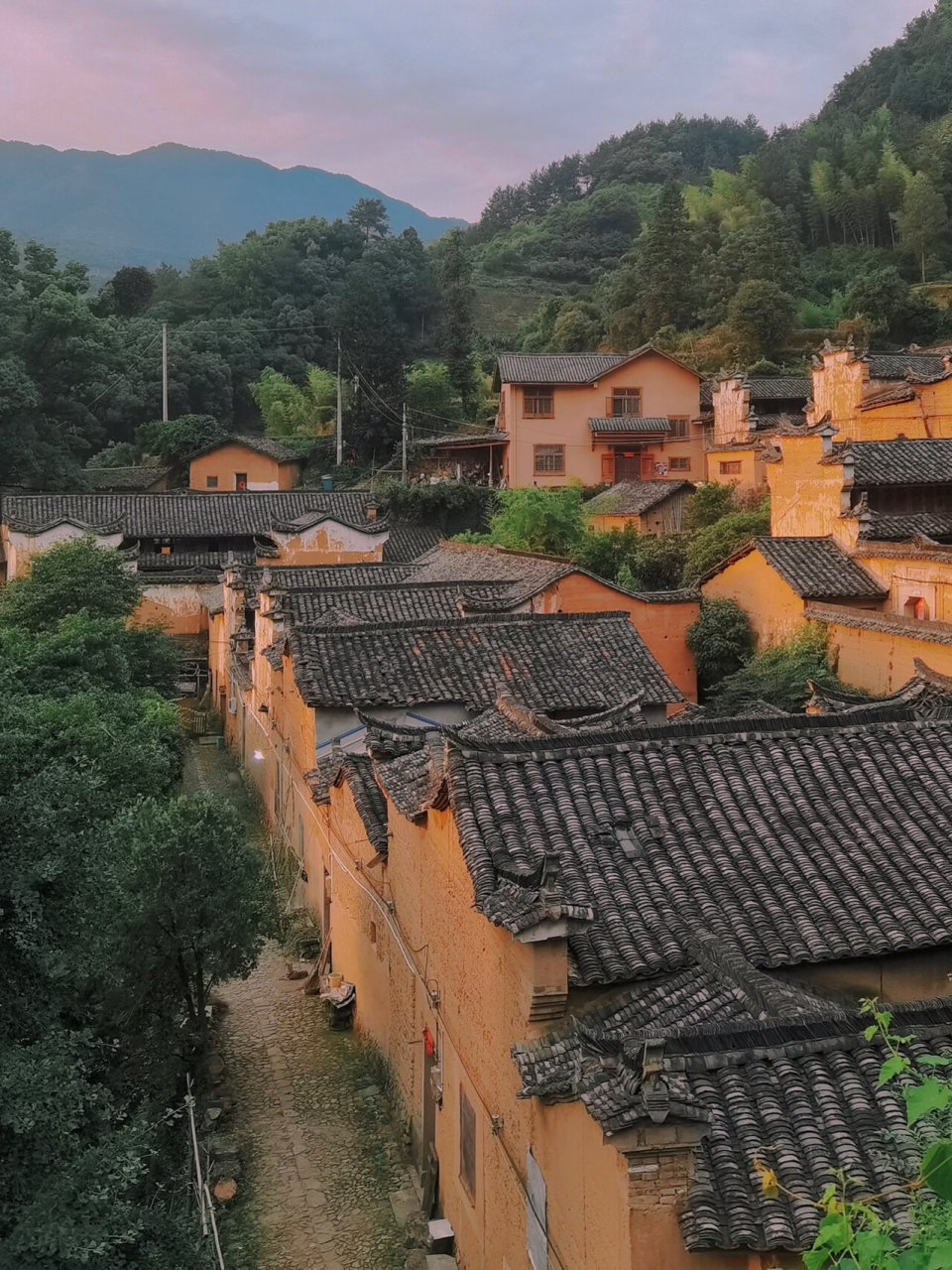 杨家堂村|藏在浙南秘境里的金色布达拉宫 2021.05.