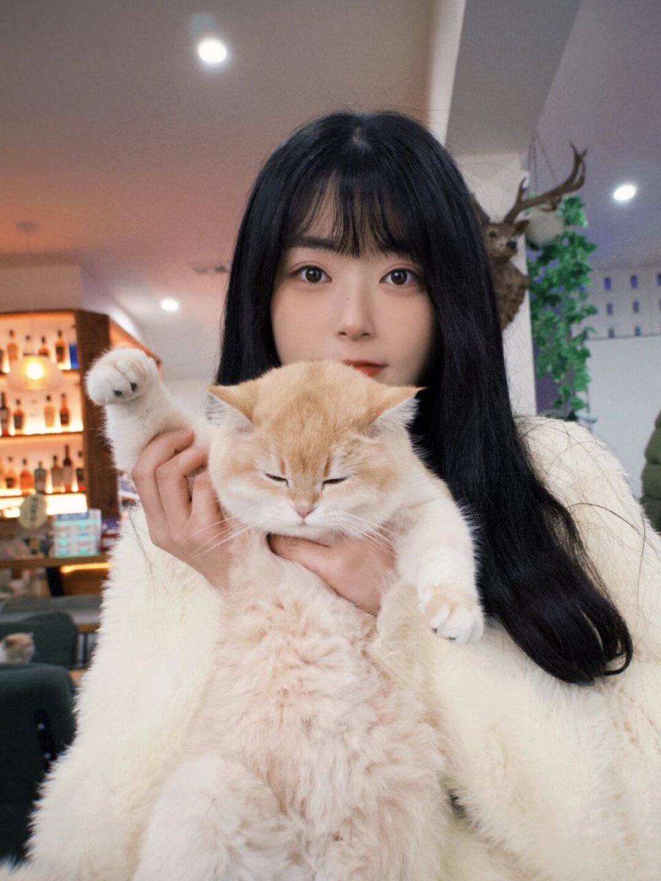 猫系女孩# #和猫咪合照# #被迫营业的小猫咪# #一起拍张照吧# #我的