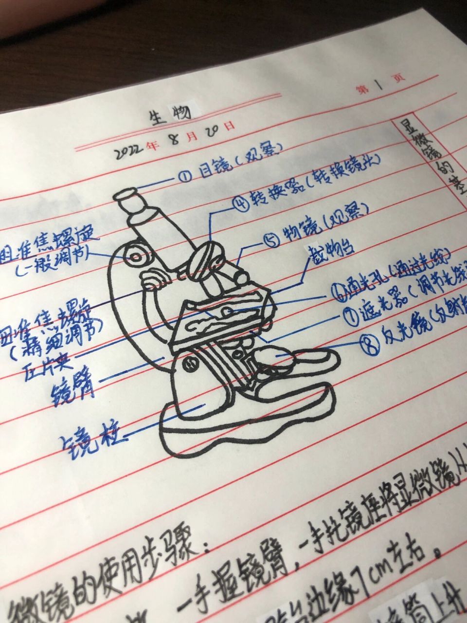 显微镜的基本结构,作用和应用