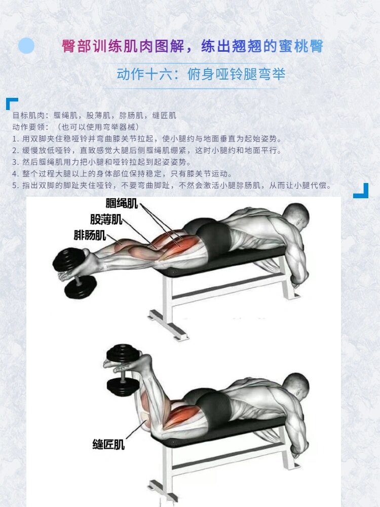 臀部肌肉锻炼经典动作图片