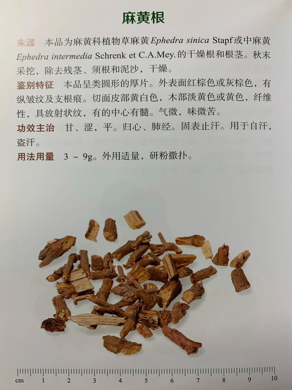 麻黄根浮小麦止汗用量图片