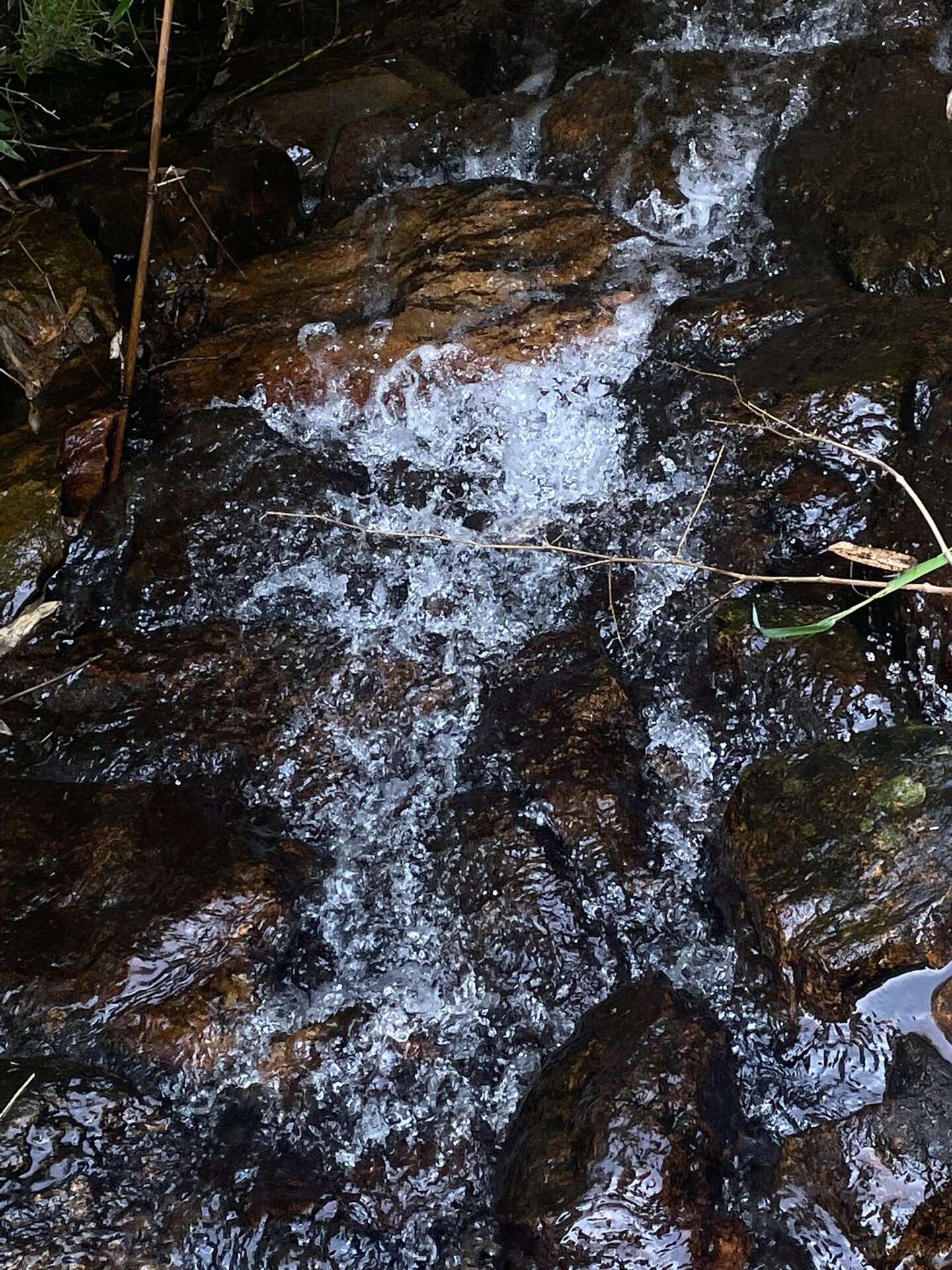 徒步小记7215绍兴秦望山大环线 新手9215