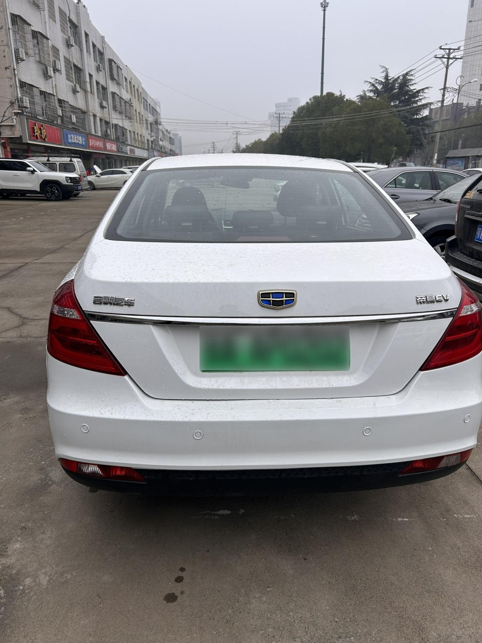 吉利帝豪ev300进取型图片