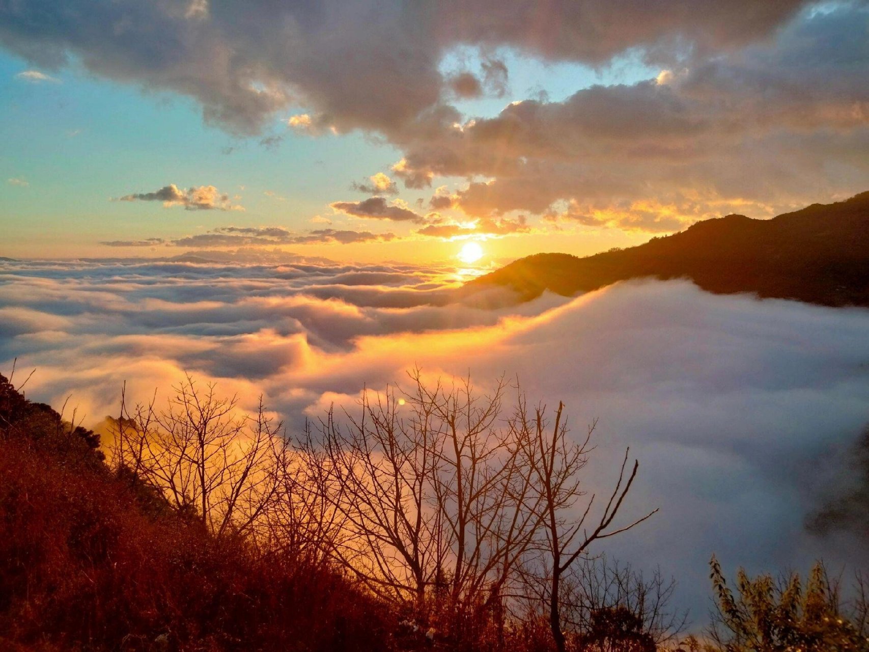 11月玉溪新平哀牢山两日游找搭子 11月,哀牢山云海日出最佳观赏期到了