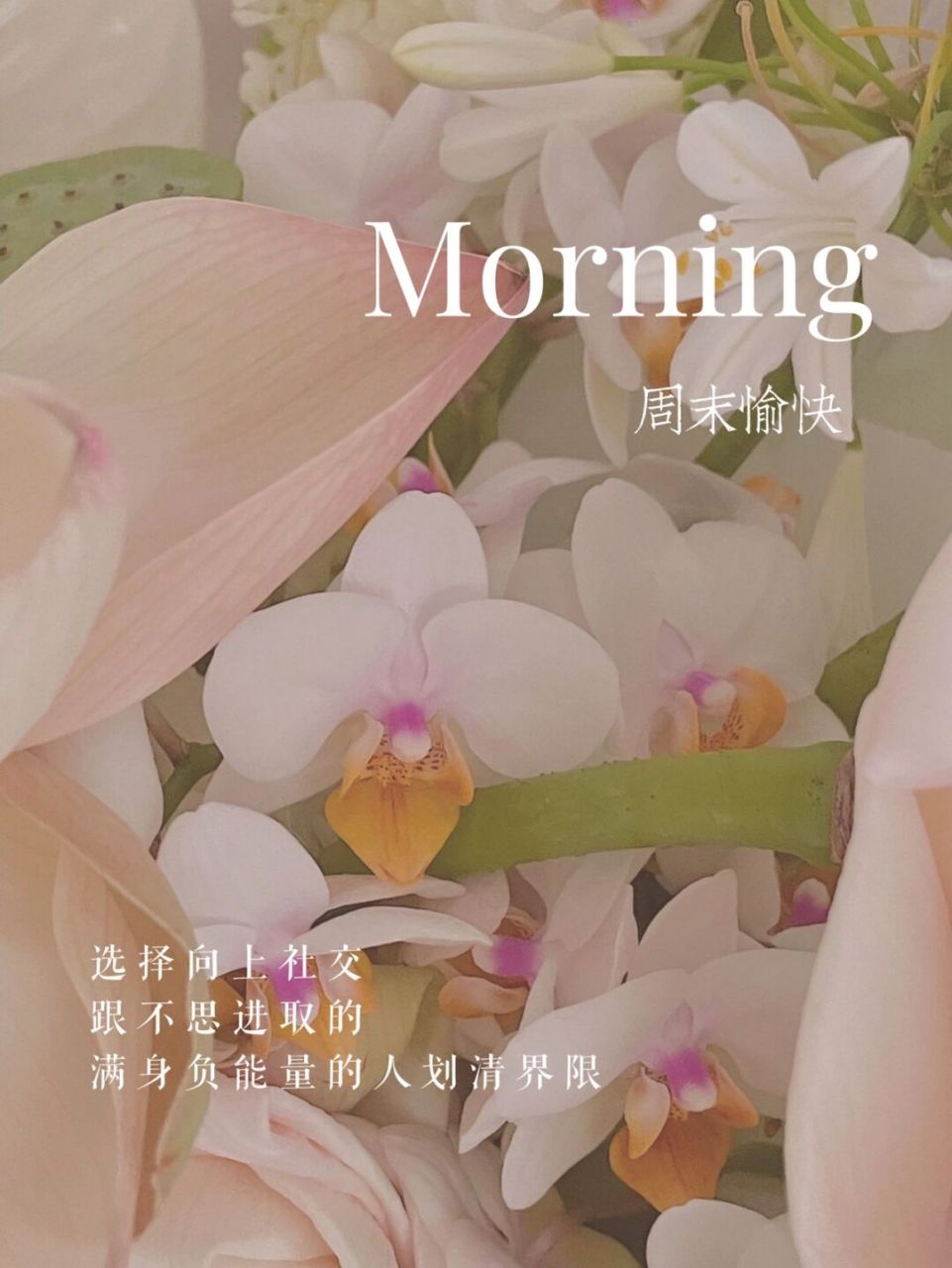 周末愉快 | 正能量文案 | 朋友圈美学 周末愉快文案 1.