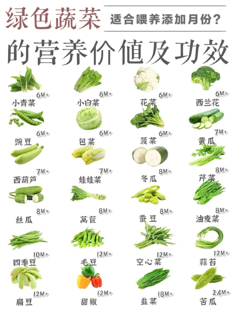 常见绿色蔬菜:营养价值及功效 绿色蔬菜中含有大量的维生素,矿物质和