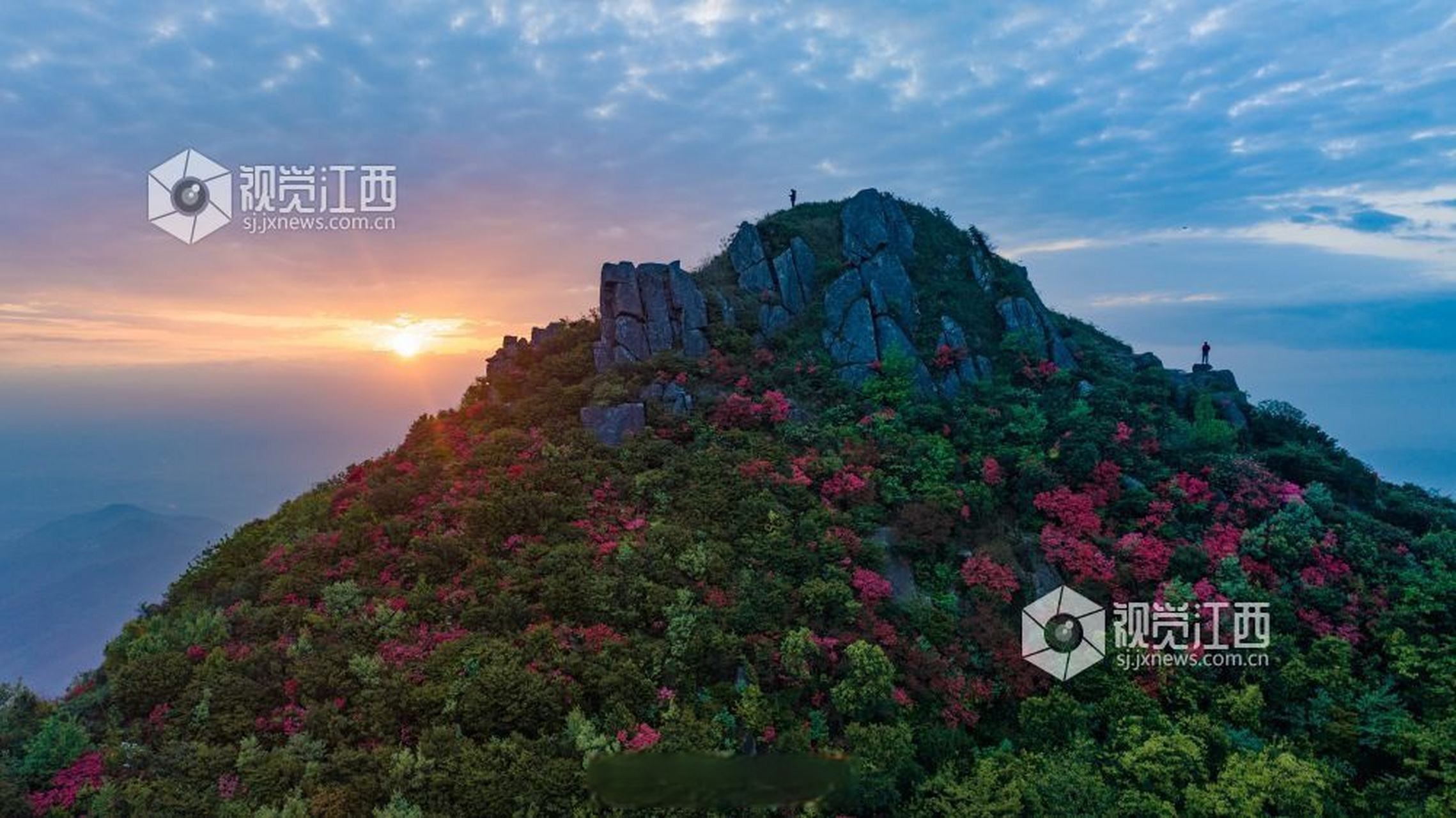 总要来趟江西吧#【江西丰城:升华山杜鹃花开】4月21日, 在江西省丰城