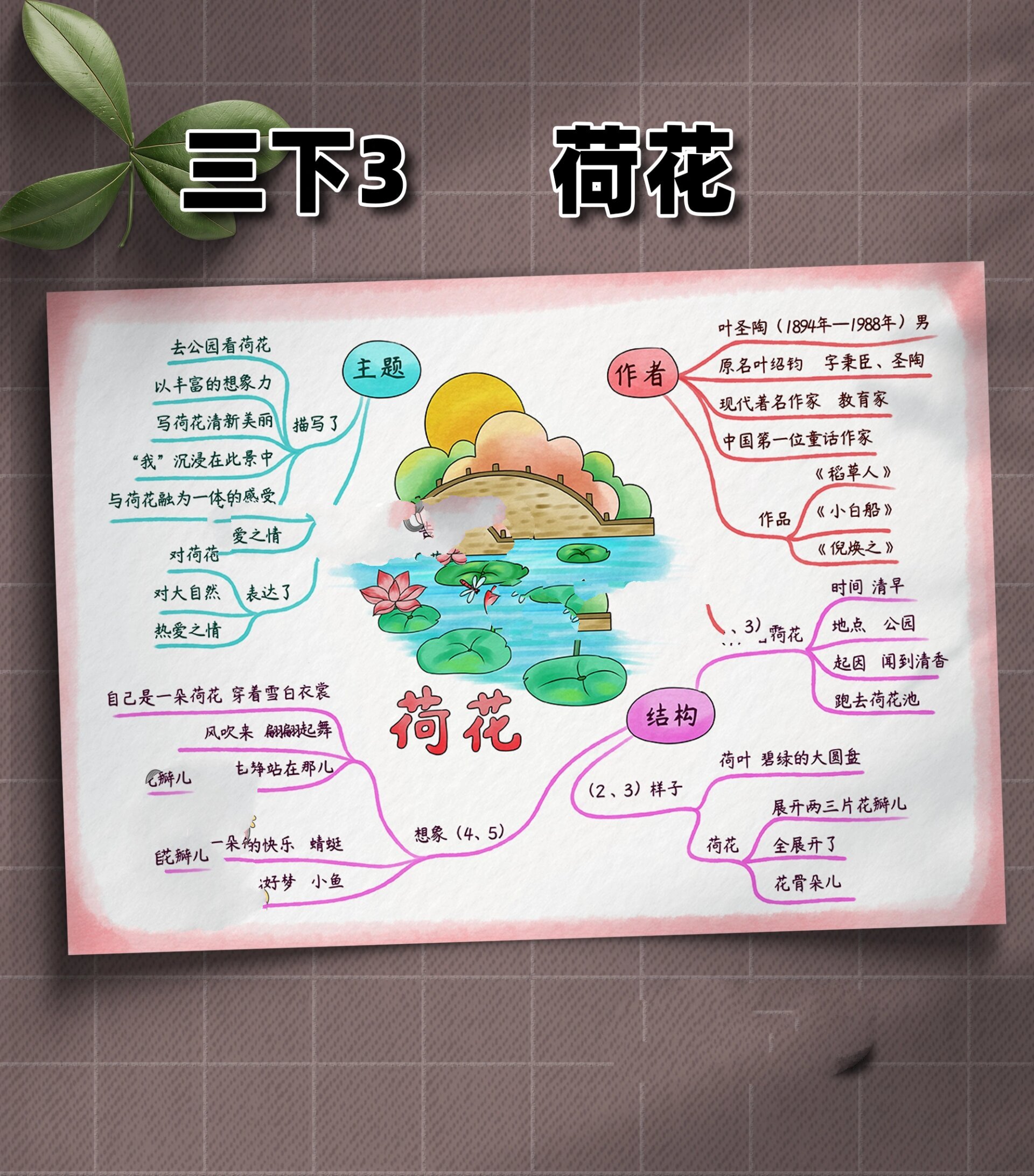 b575三语下第3课荷花思维导图