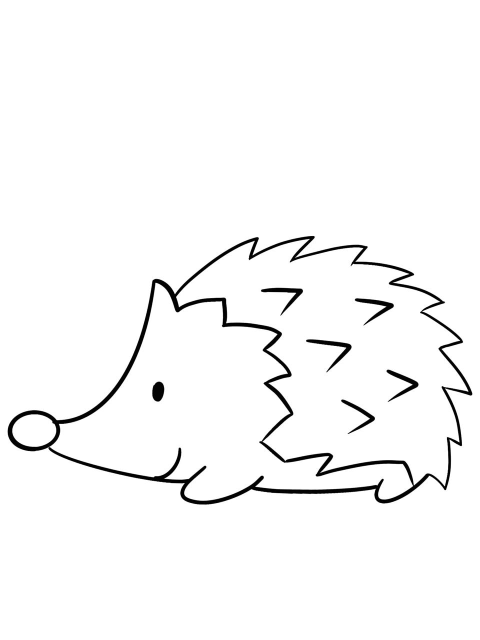 简笔画教程分享 小刺猬 简笔画教程分享 小刺猬!