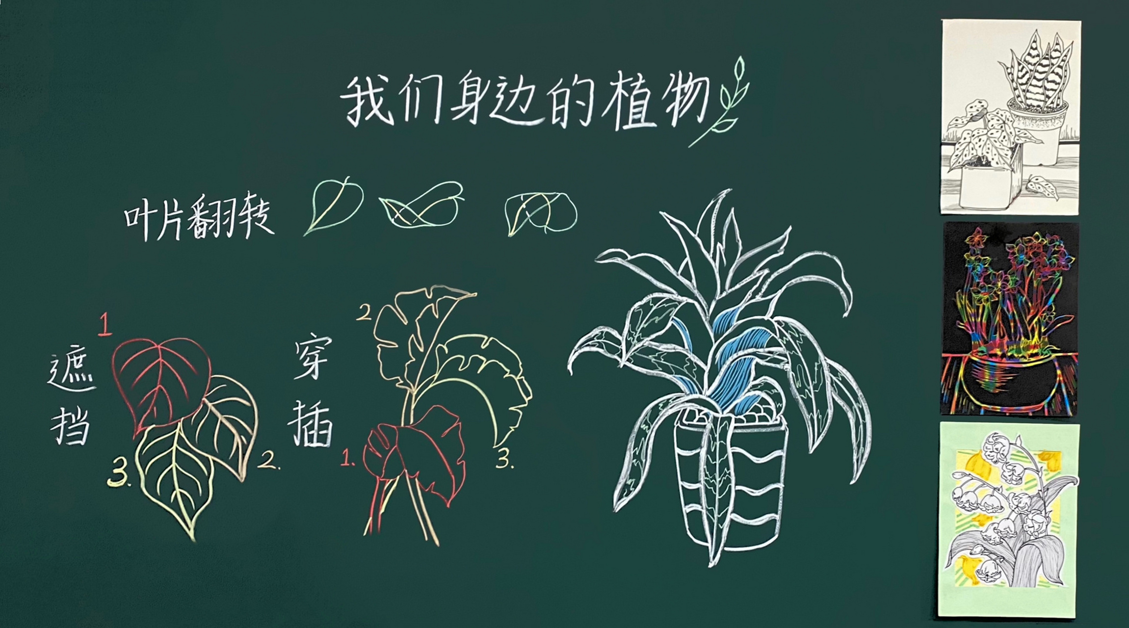 美术课板书 | 我们身边的植物 美术课板书分享 课程92:人民美术出版