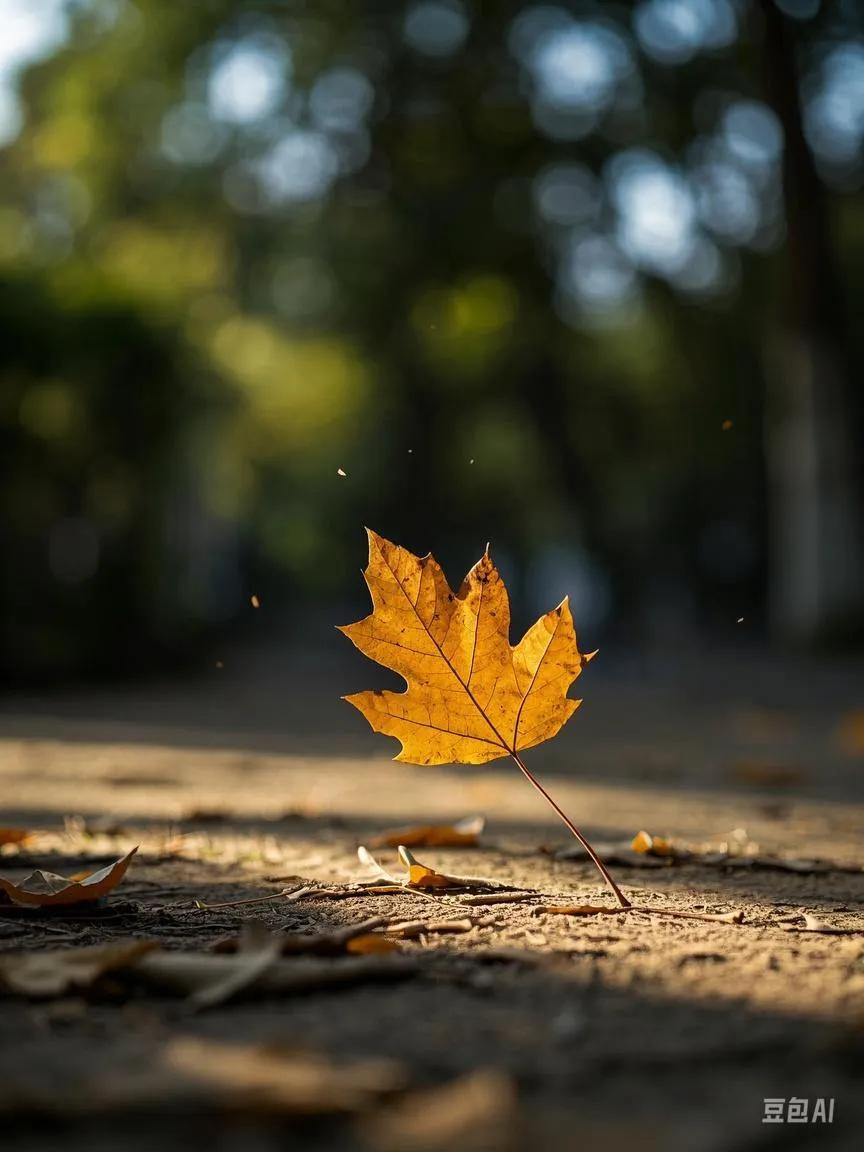 看到一片落叶你会想到什么 看到一片落叶,思绪往往翩跹而起
