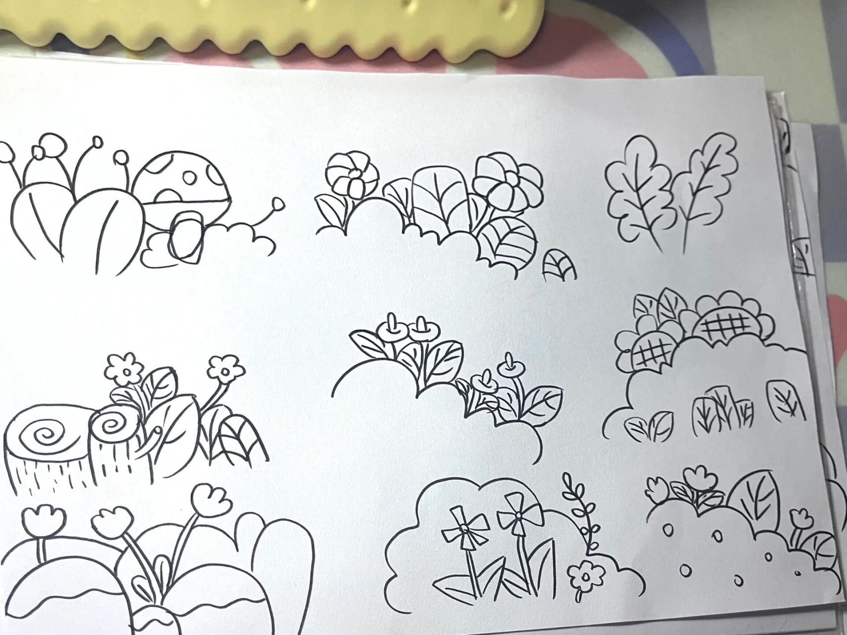 简笔画植物练习