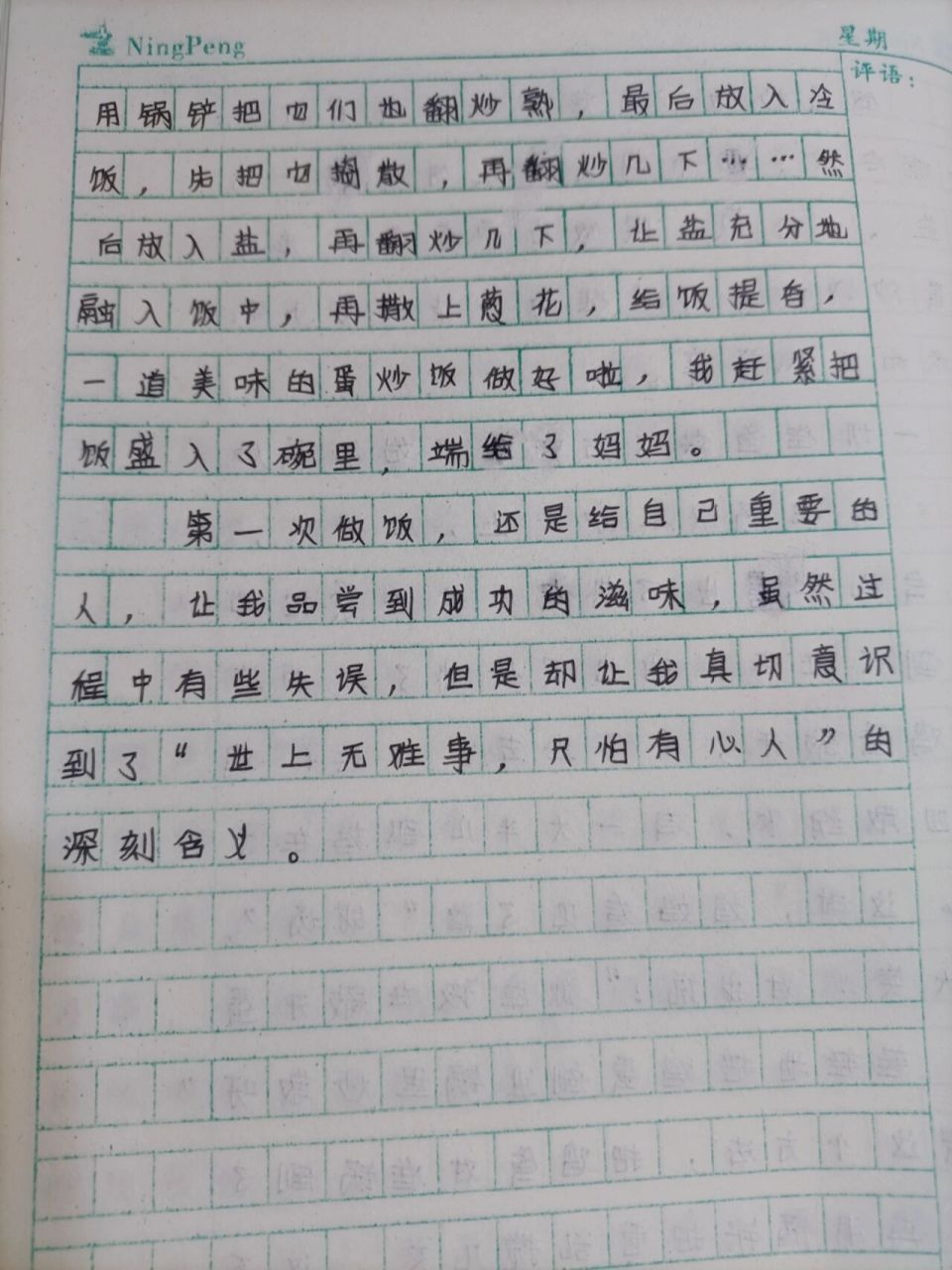 第一次做饭作文