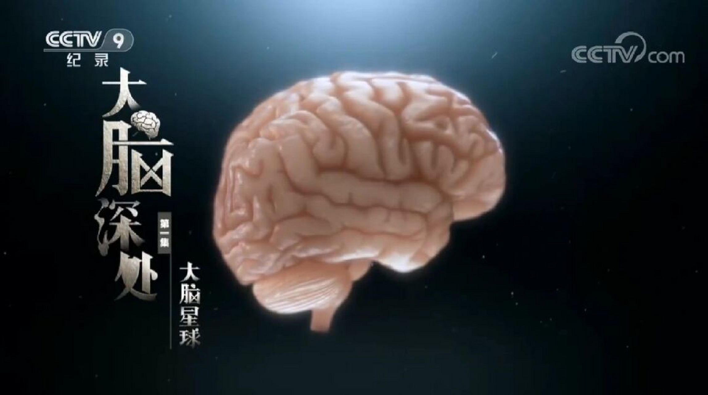 央视纪录片《大脑深处》观后感 非常高兴国内也能打造出一部神经科学