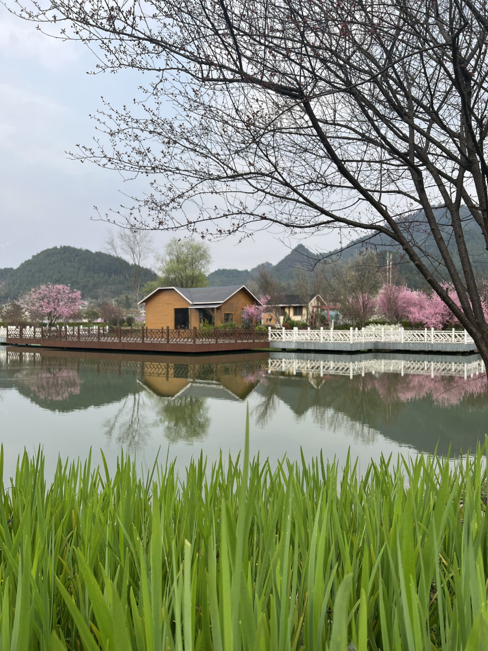 湄潭风景图片图片