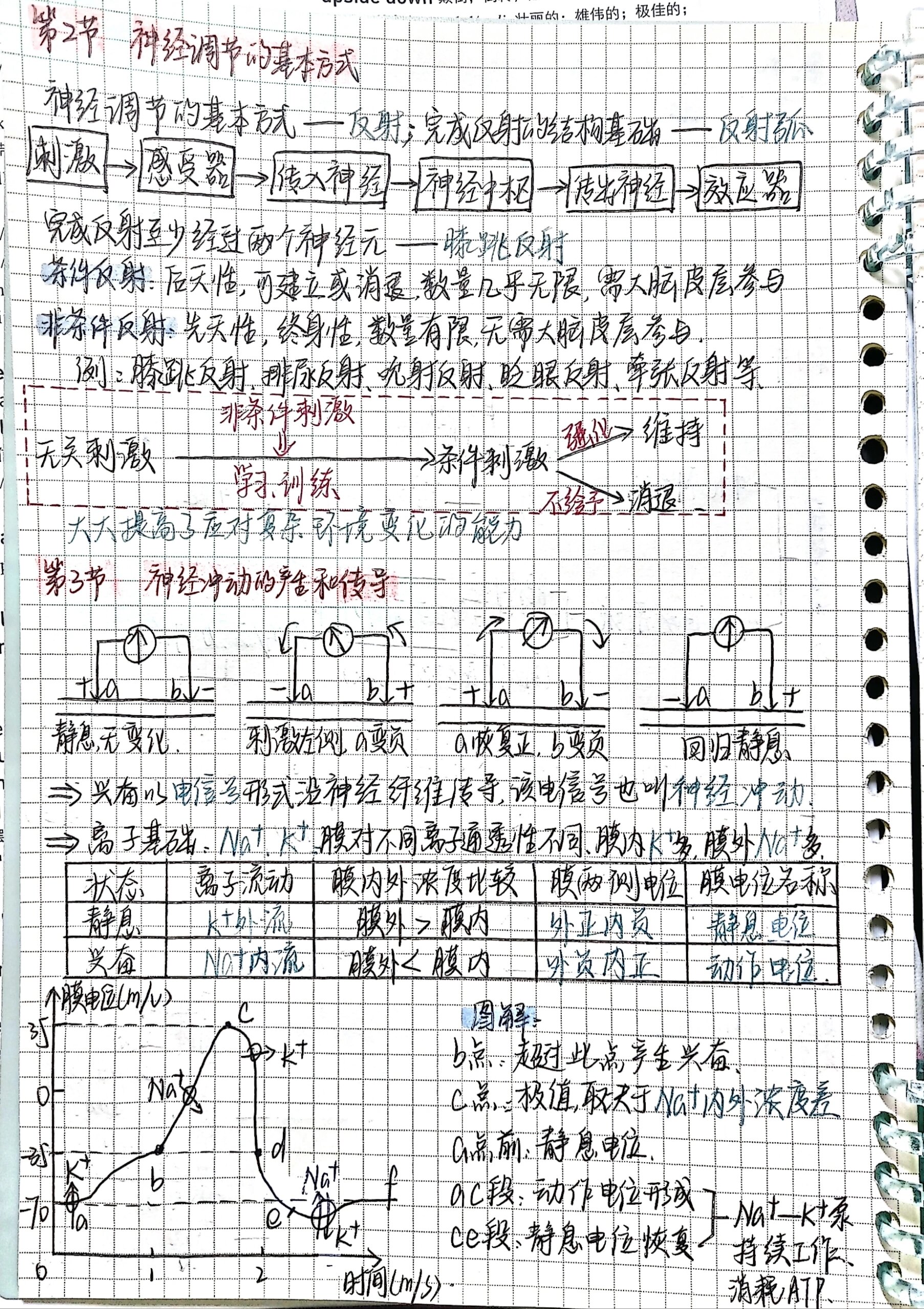 高中生物选修一第二章思维导图来啦