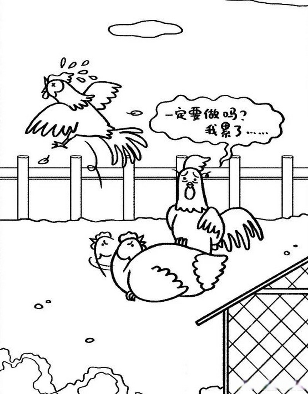 年轻鸡不会做,中年鸡不想做|《它们的性》插图