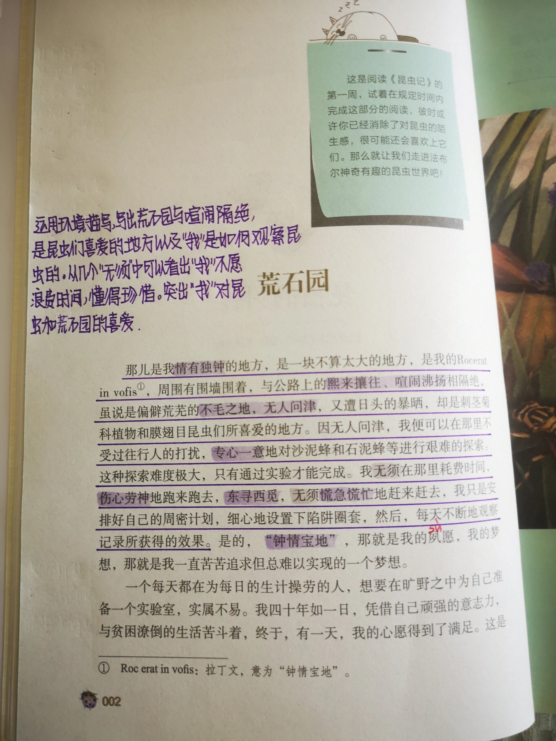 《荒石园》读书笔记