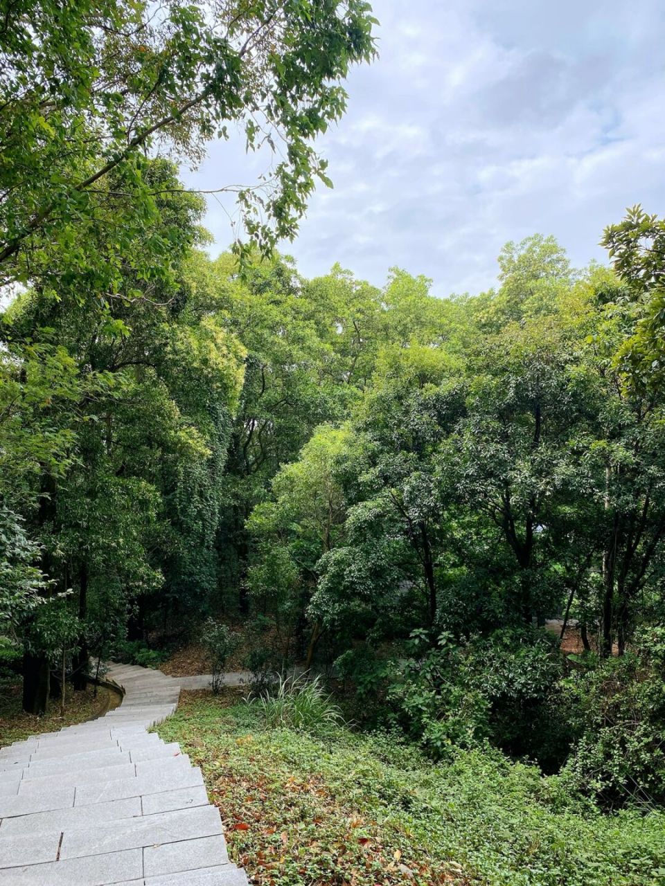 深圳爬山|不累人的有氧公园平栾山 今天周末,一起去爬山吧 平峦山公园