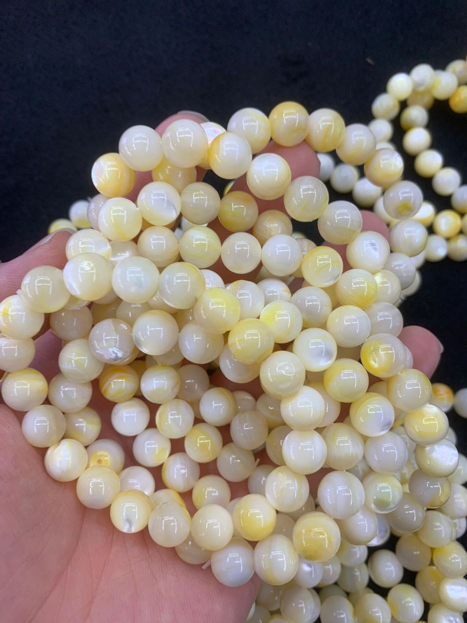 天然深海贝壳 黄金贝7-10mm手链 来自深海的黄金贝 纯天然无添加 颗颗