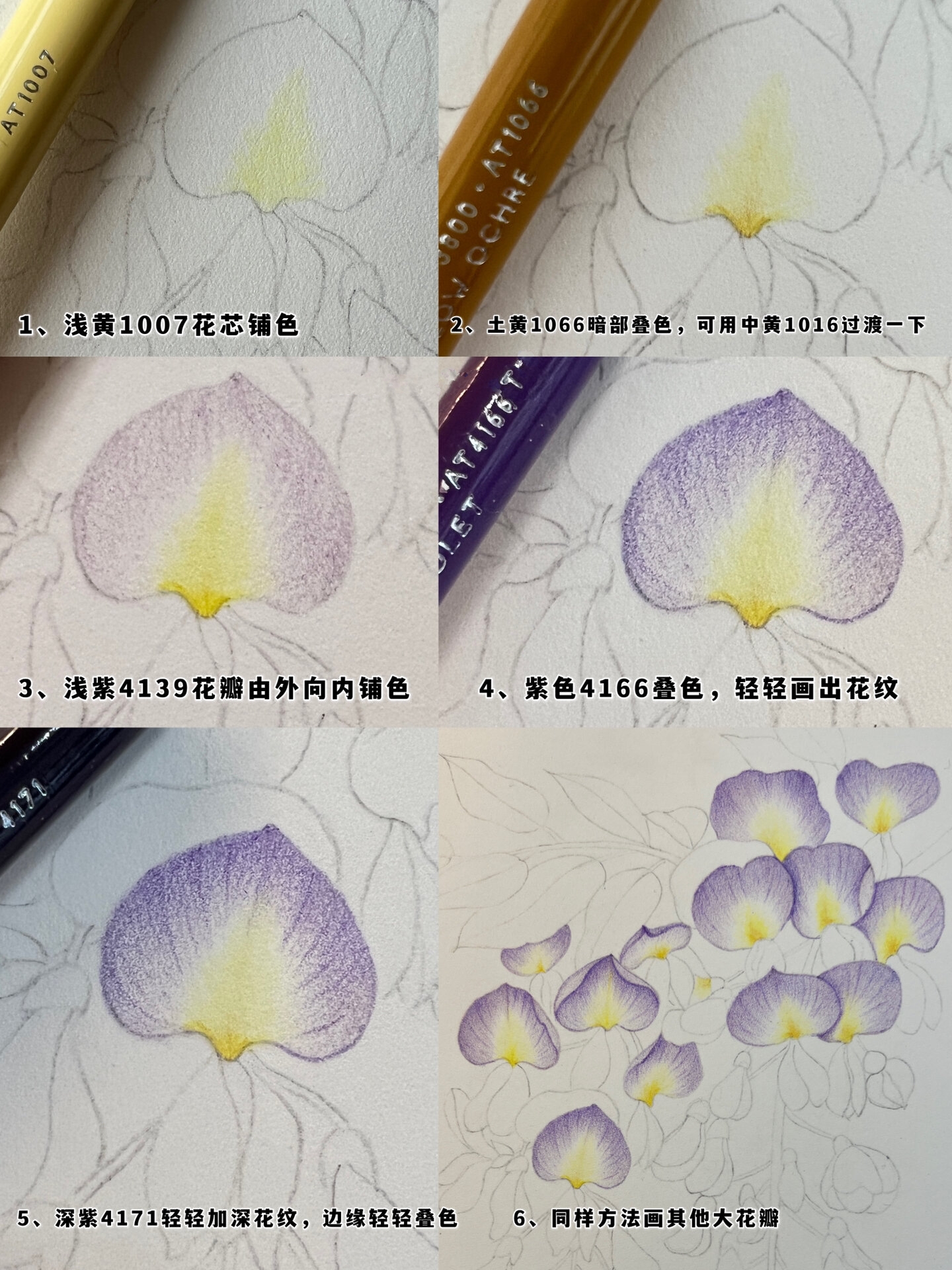 彩铅花卉——紫藤花,附步骤图