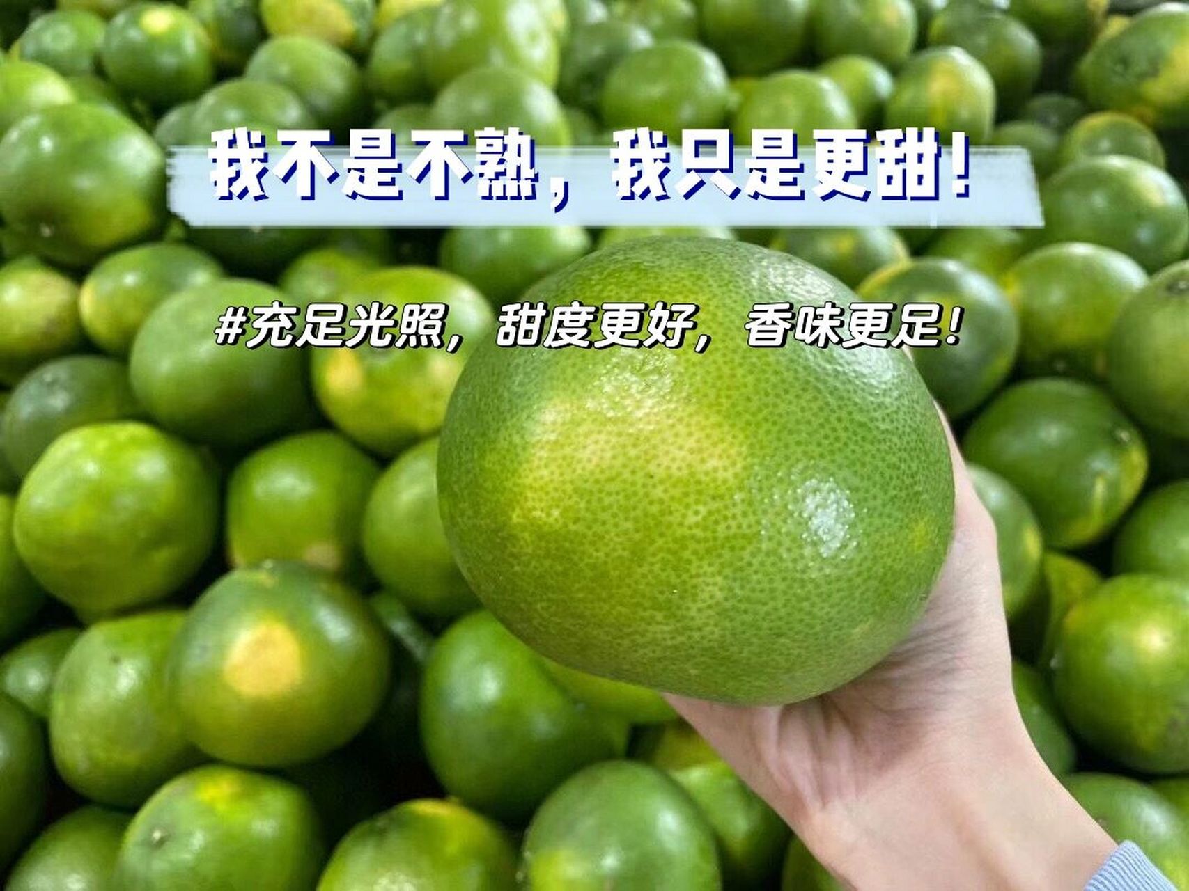 黄葡萄柚和青葡萄柚!