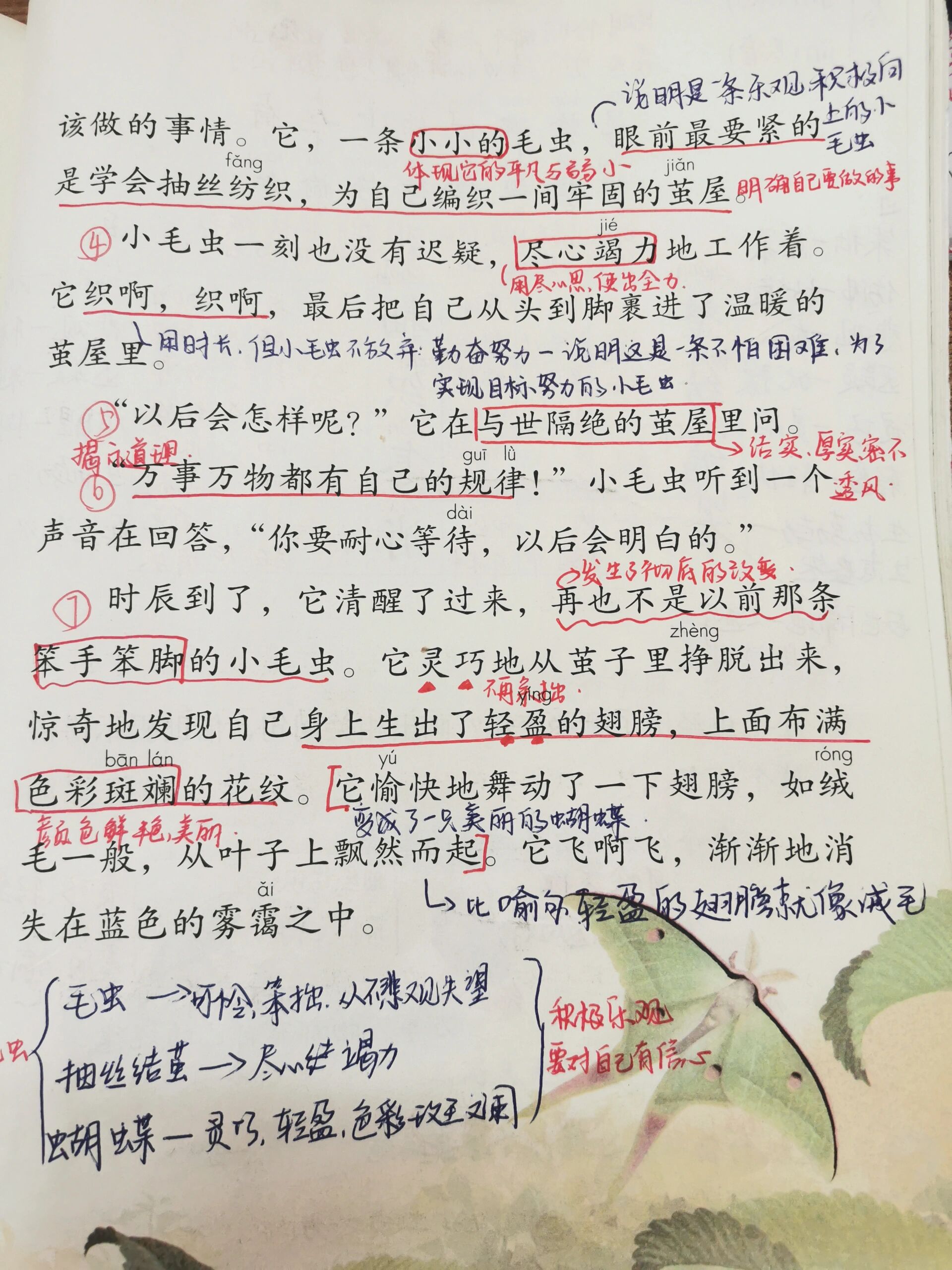 小毛虫课堂笔记图片