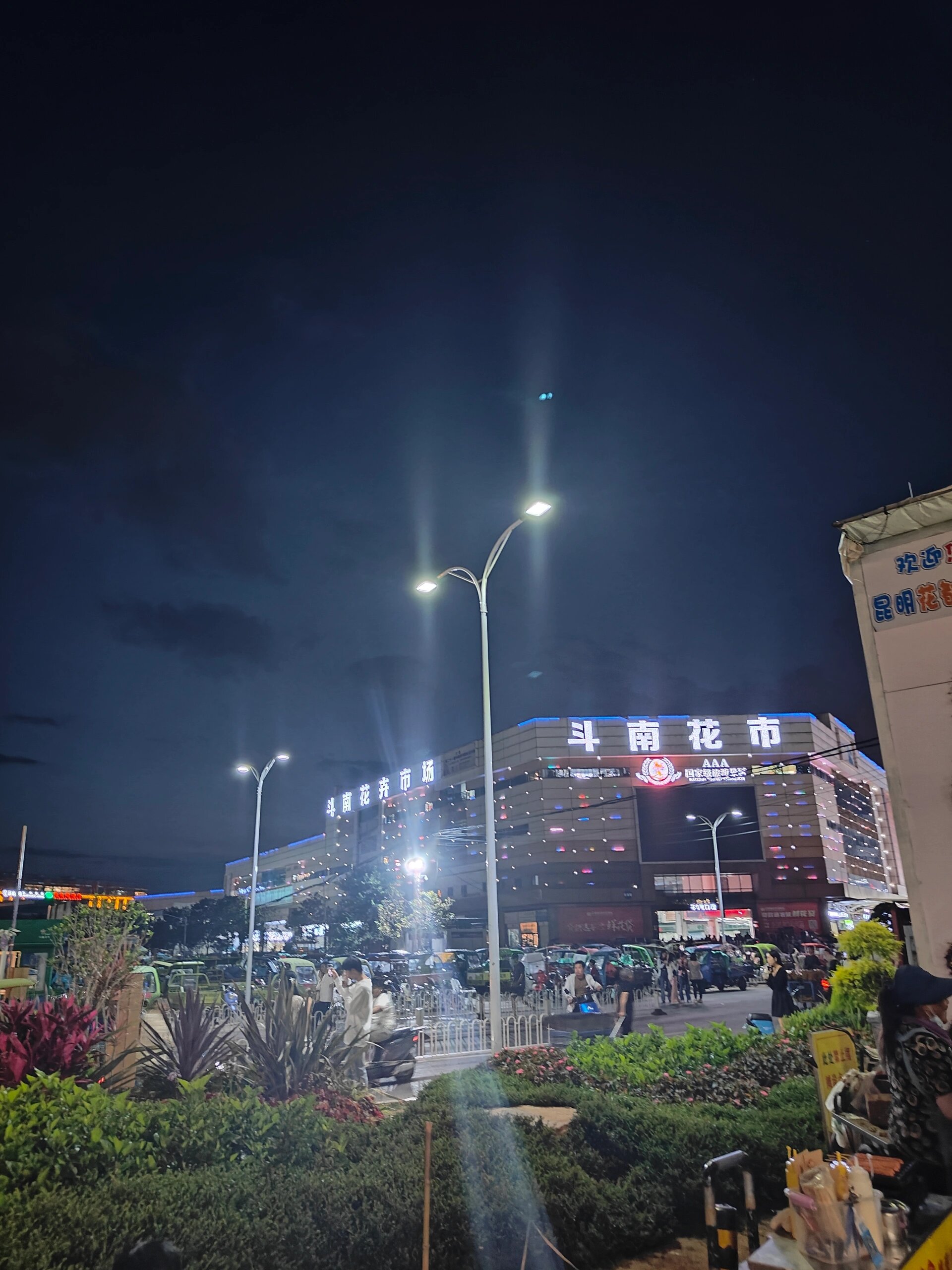 去斗南花市直接在"金桂街站"下,不要在斗南站下,斗南站下了还要走一