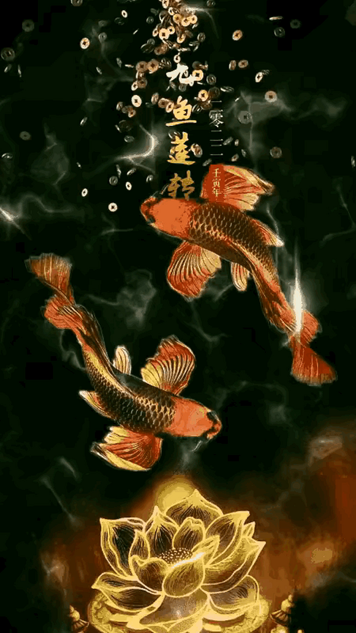 随手拍#莲莲有鱼,年年有余!万事顺意 年年有余