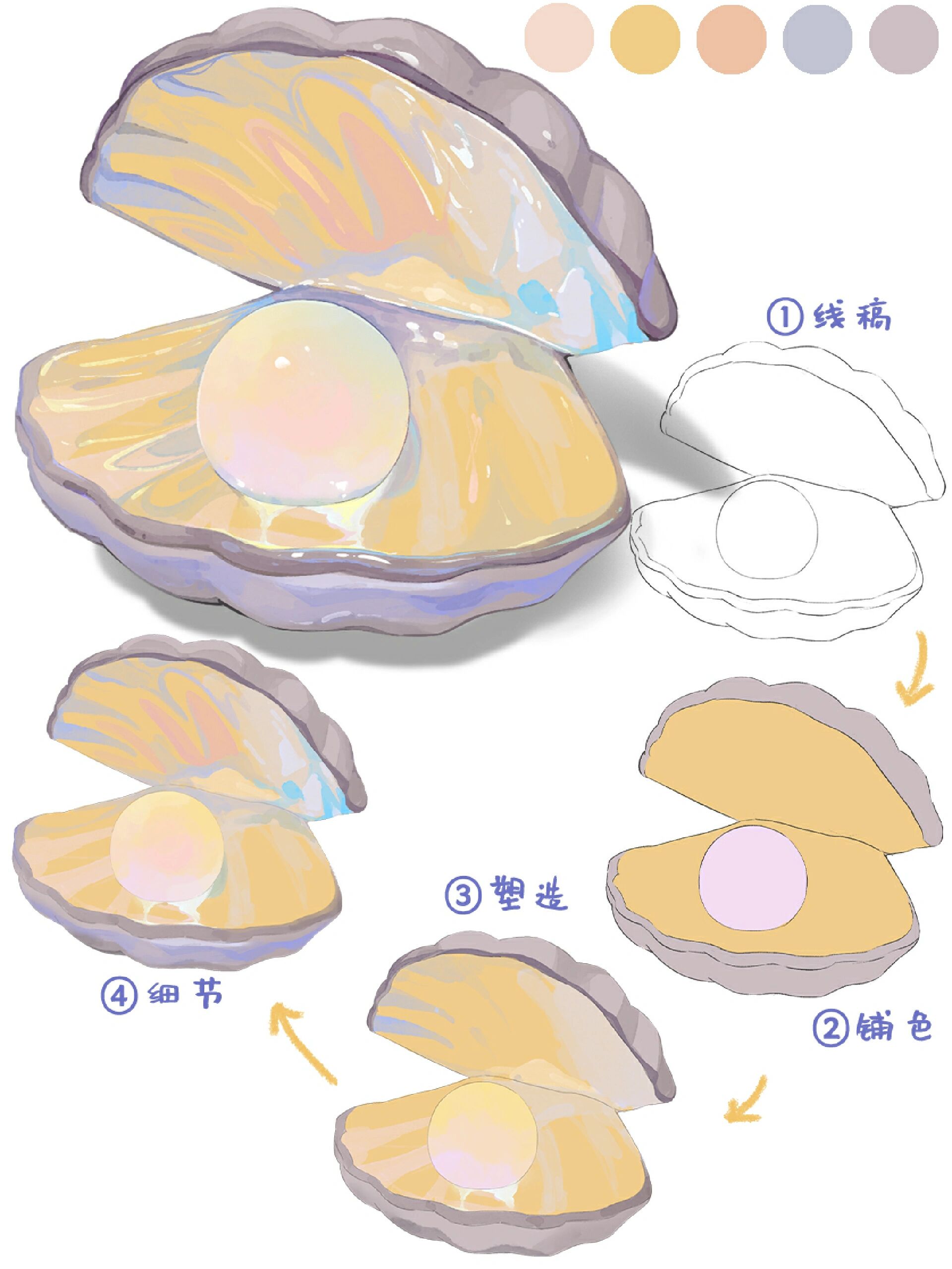 贝壳张开的样子怎么画图片