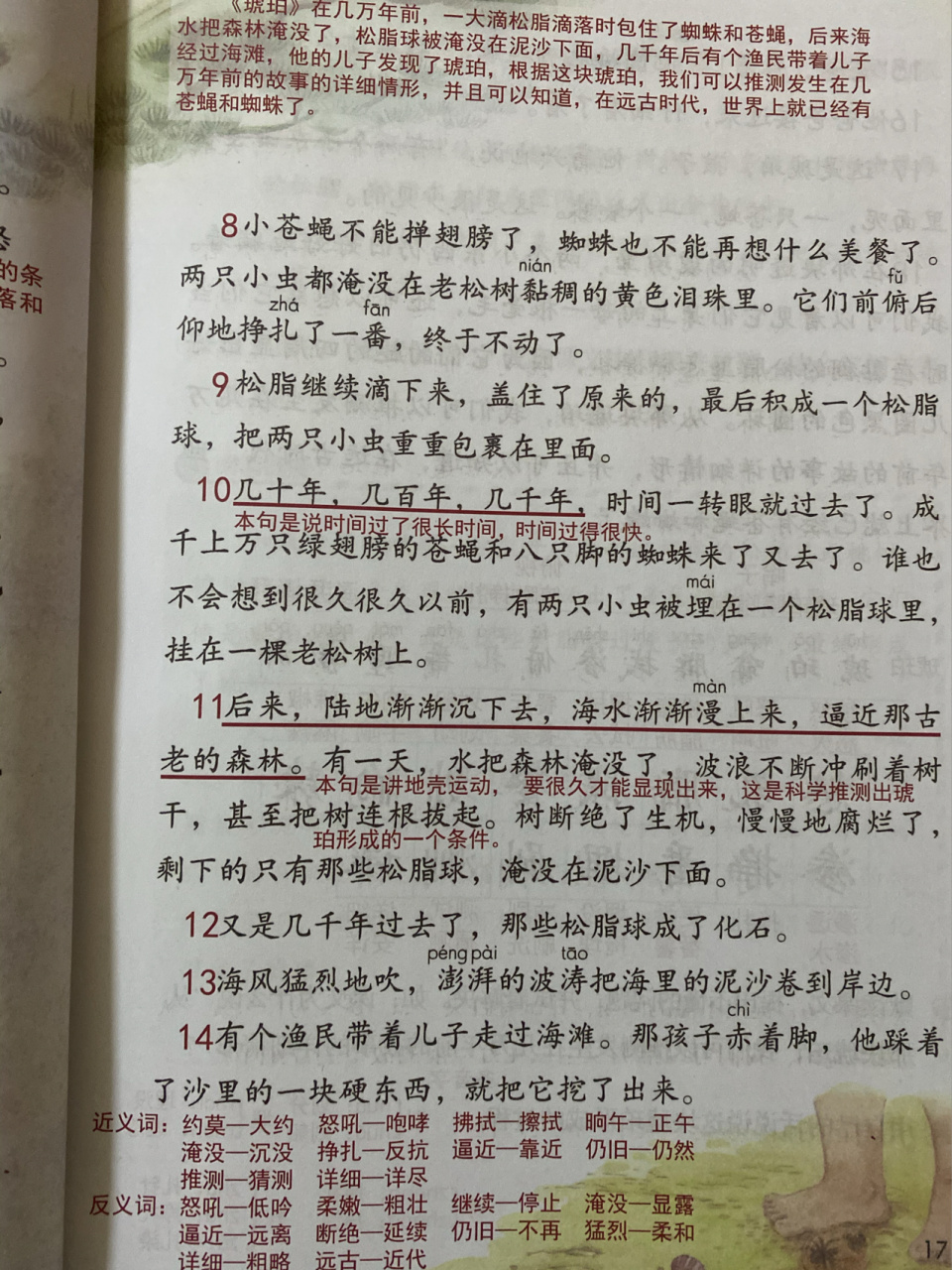 作者柏吉尔用极其活泼,通俗易懂的文笔和充分的想象力,介绍了有关琥珀