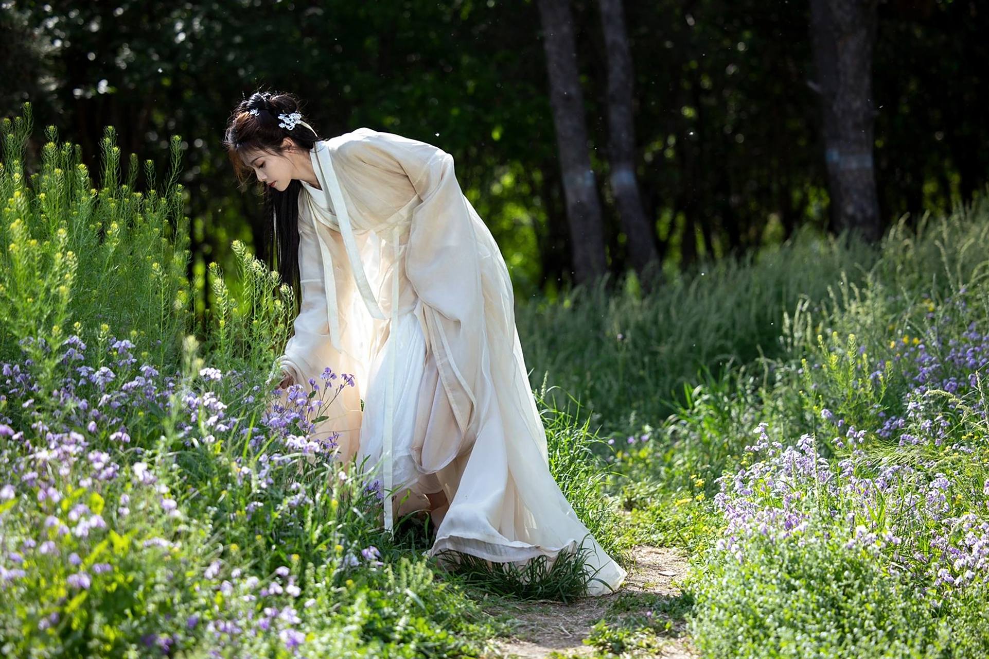 给白鹿04拍的古风写真～ 《玉楼春》那年夏天跟组的时候拍过一次