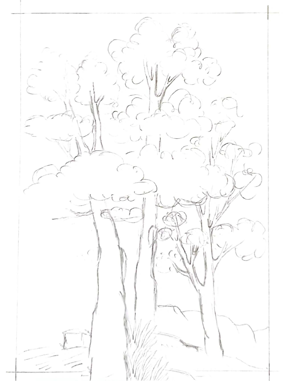 速写/树/风景速写/内附过程图 画一棵树叭!