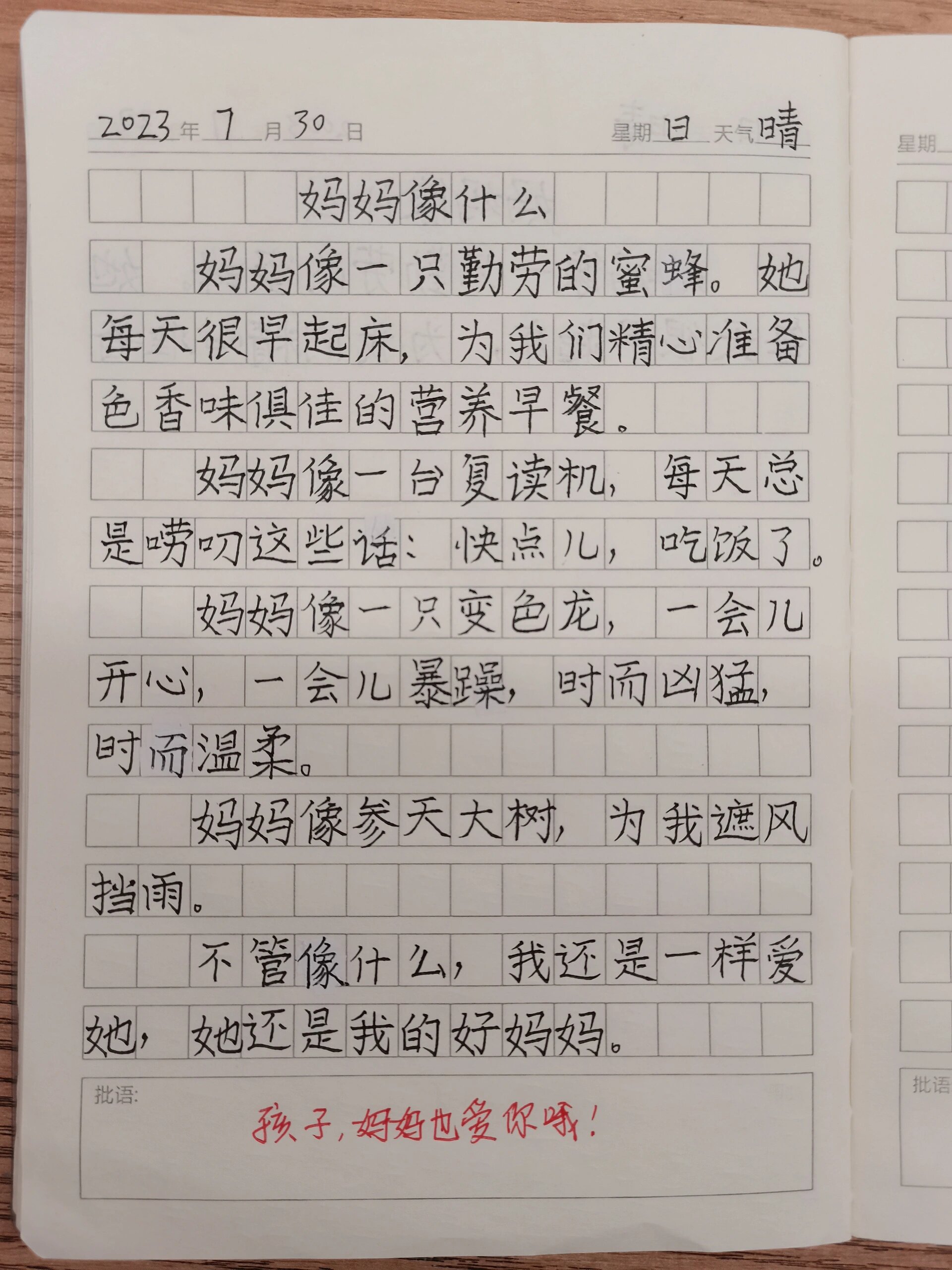 二年级哥哥写日记:妈妈像什么 语文大时代知识,需要不断积累素材,为写