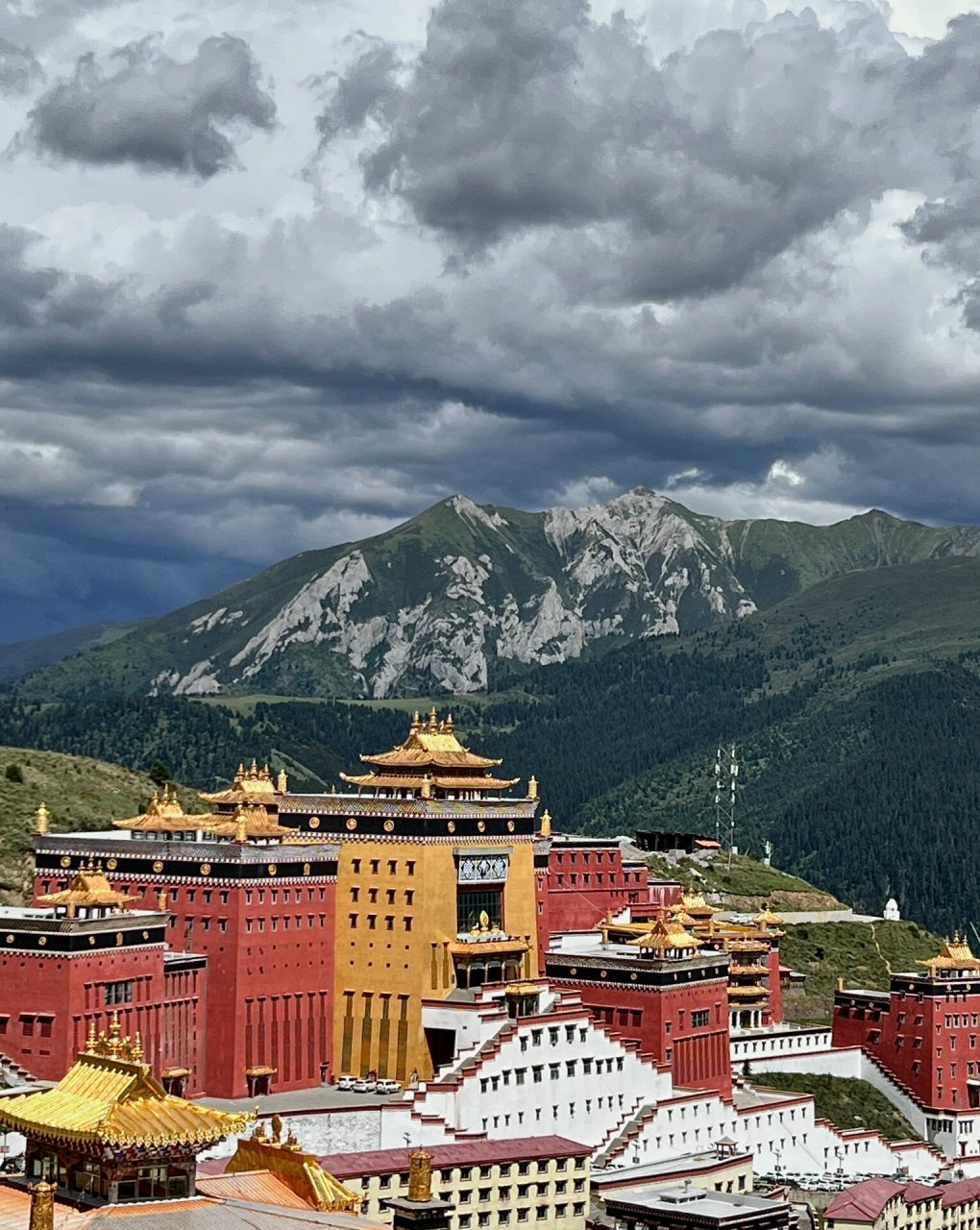 噶陀寺洛噶法王几岁图片