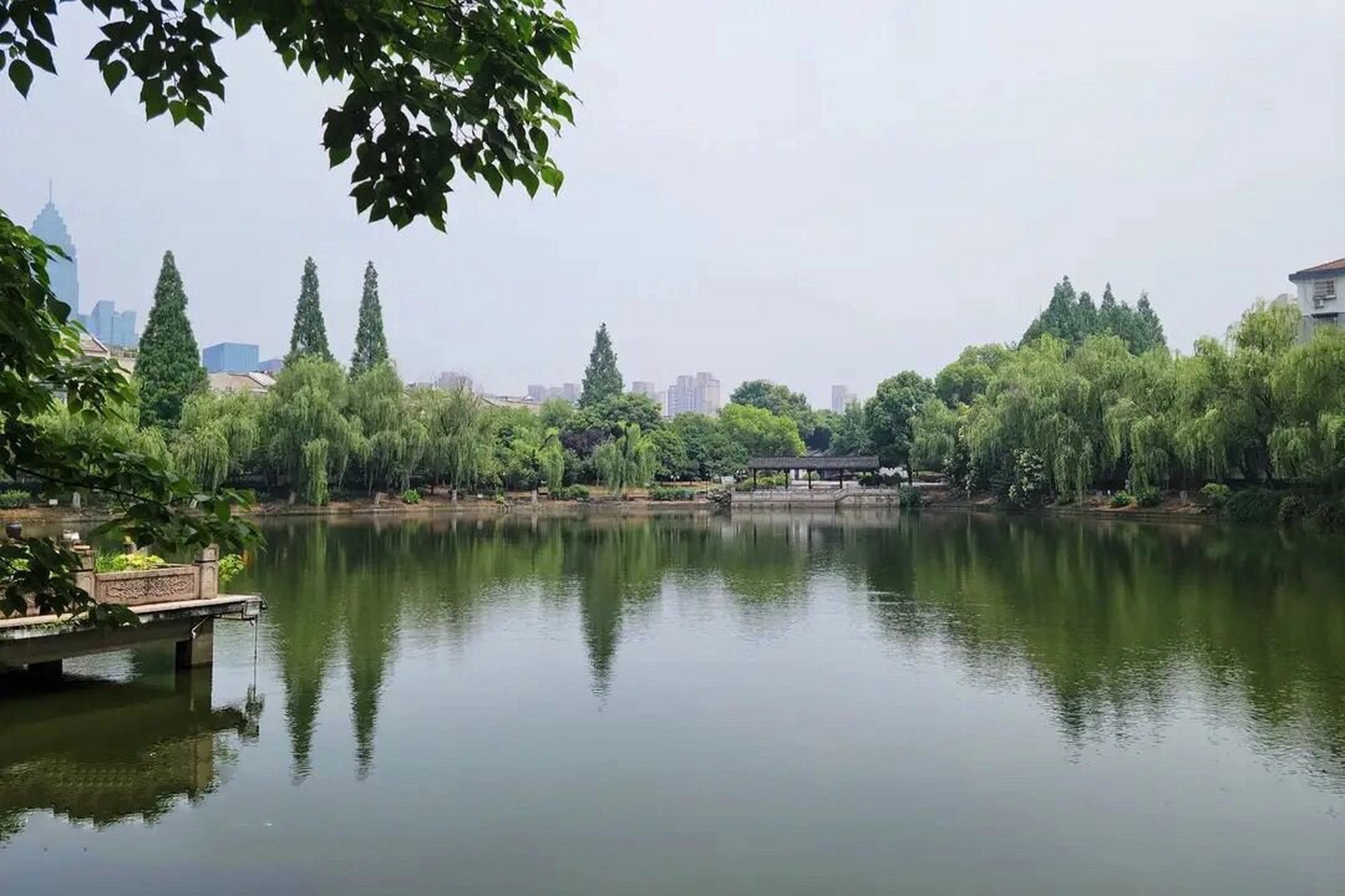 浙江绍兴东大池公园,小巧清幽的福王府内池 浙江省绍兴市有一个城中湖