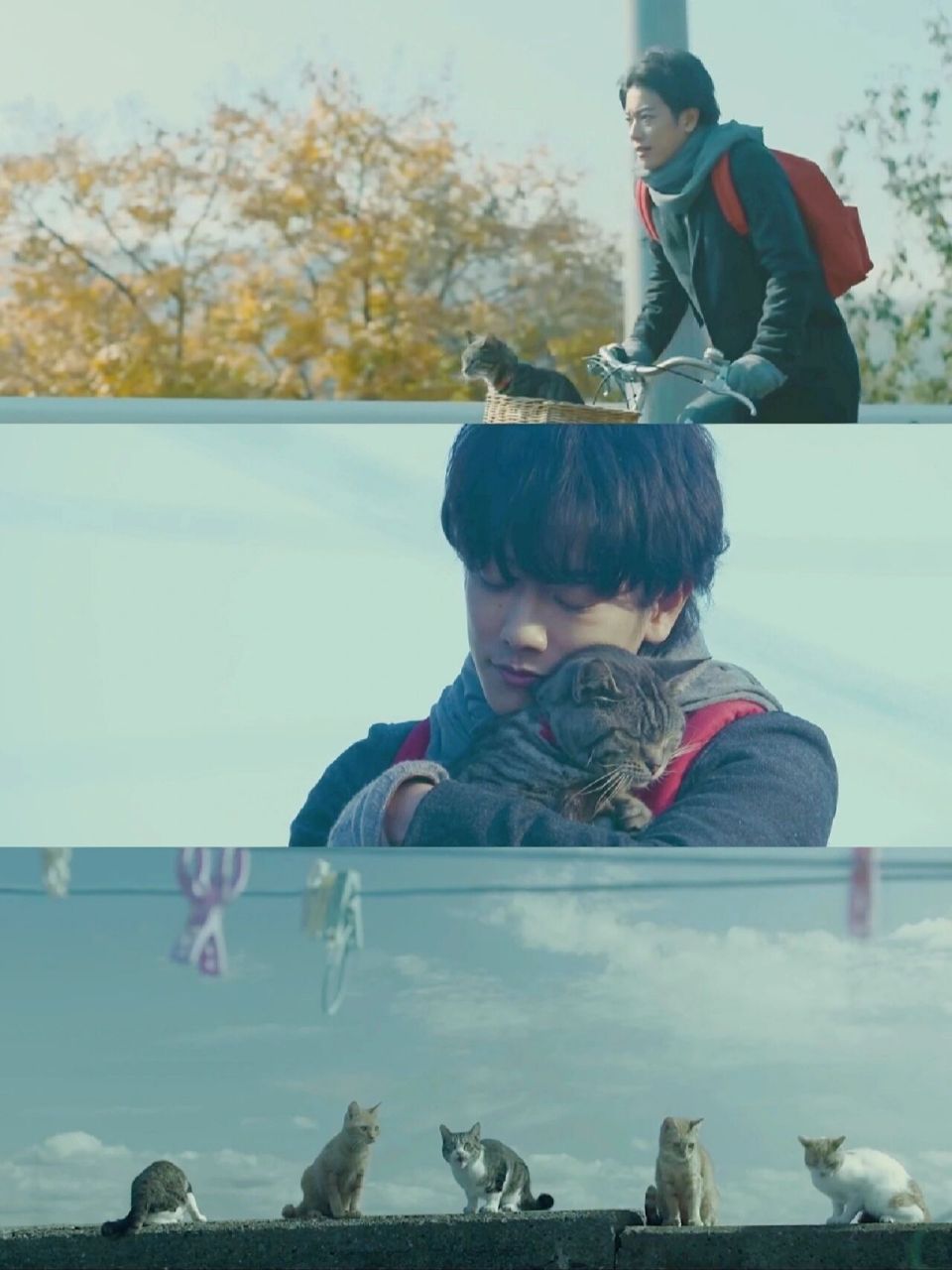 《假如——》 《假如猫从世界上消失了》主演:佐藤健×2,宫崎葵,滨田