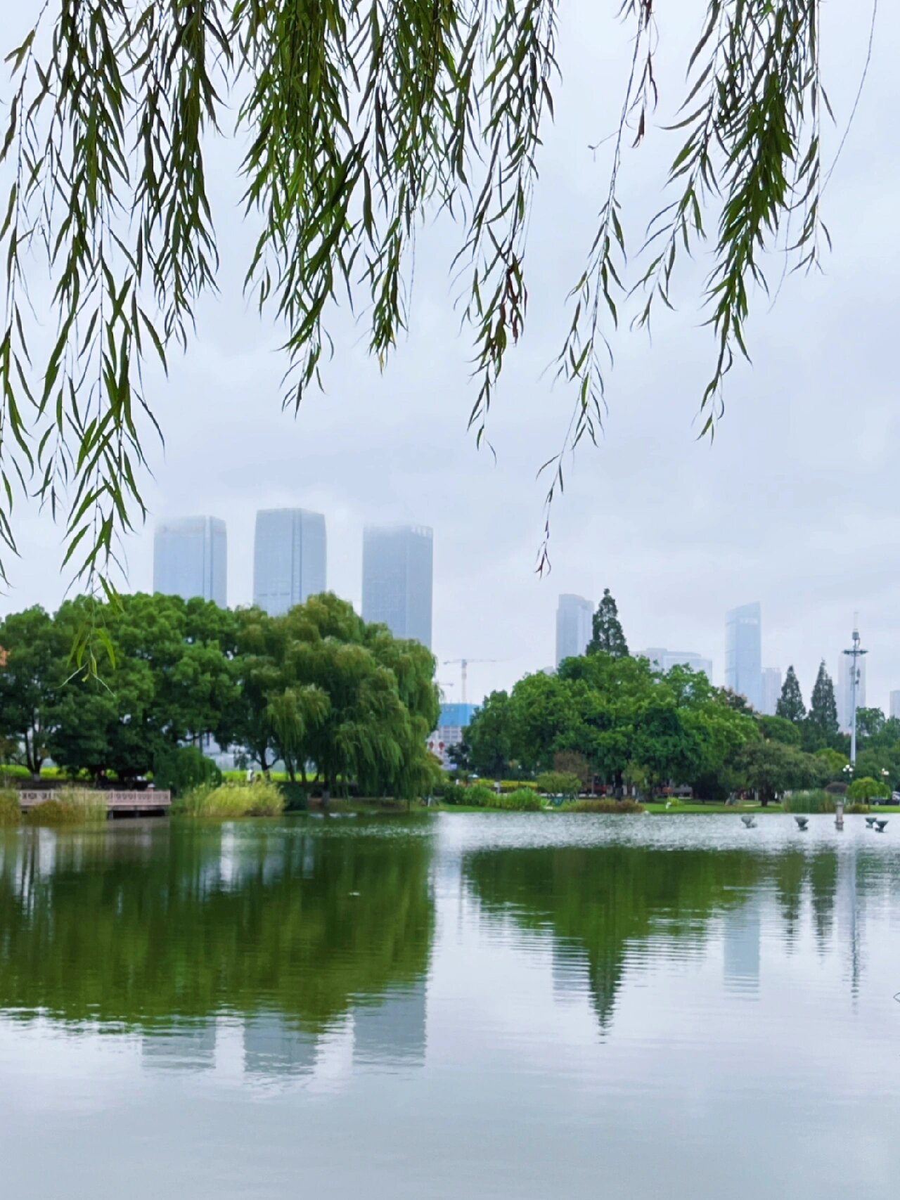 亲测|橘子洲头,没预约也进了       一定要现场感受一次 无比壮观